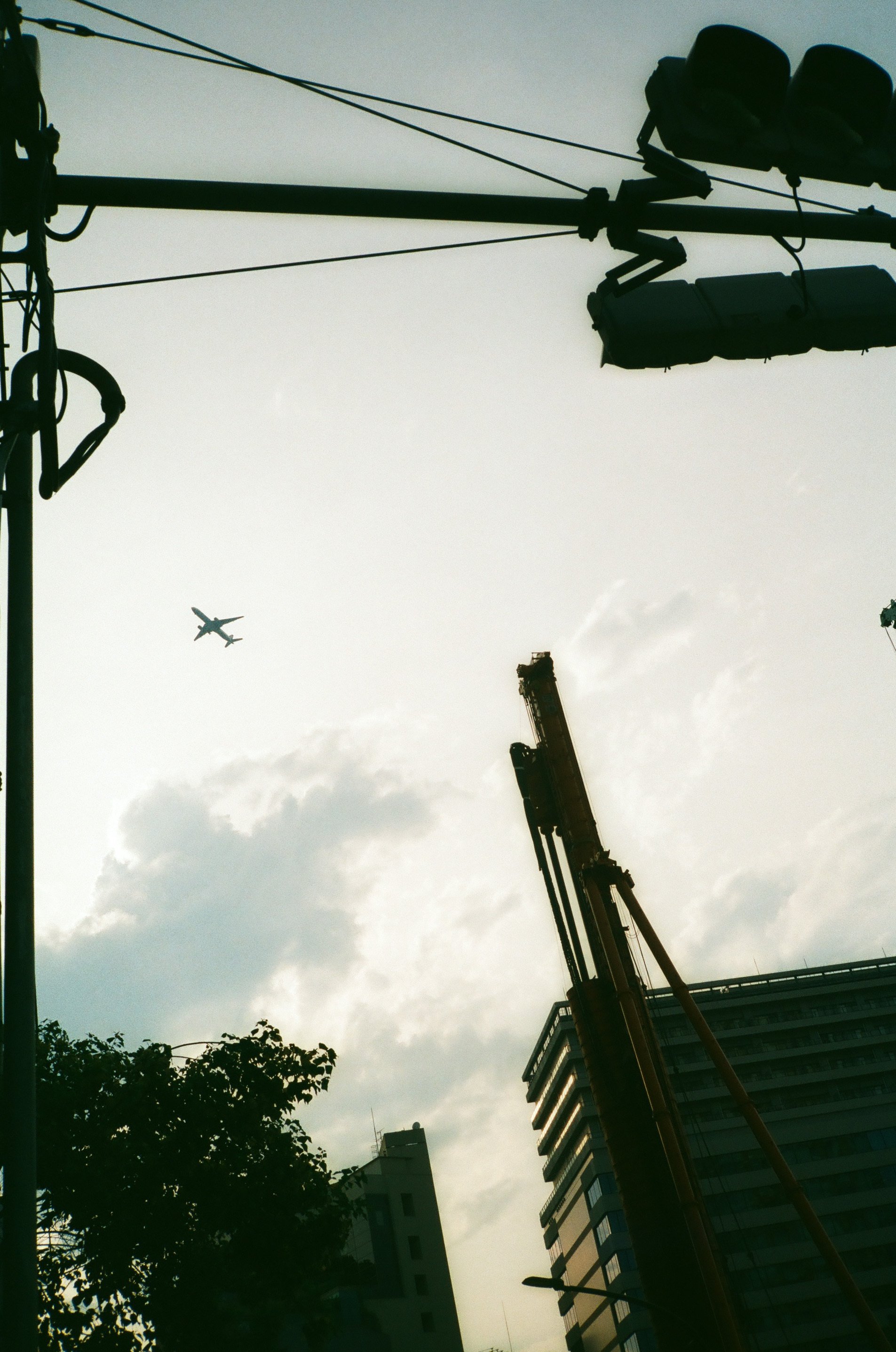 CONTAX T3というカメラのお話|和数 CONTAX T3というカメラのお話|和数