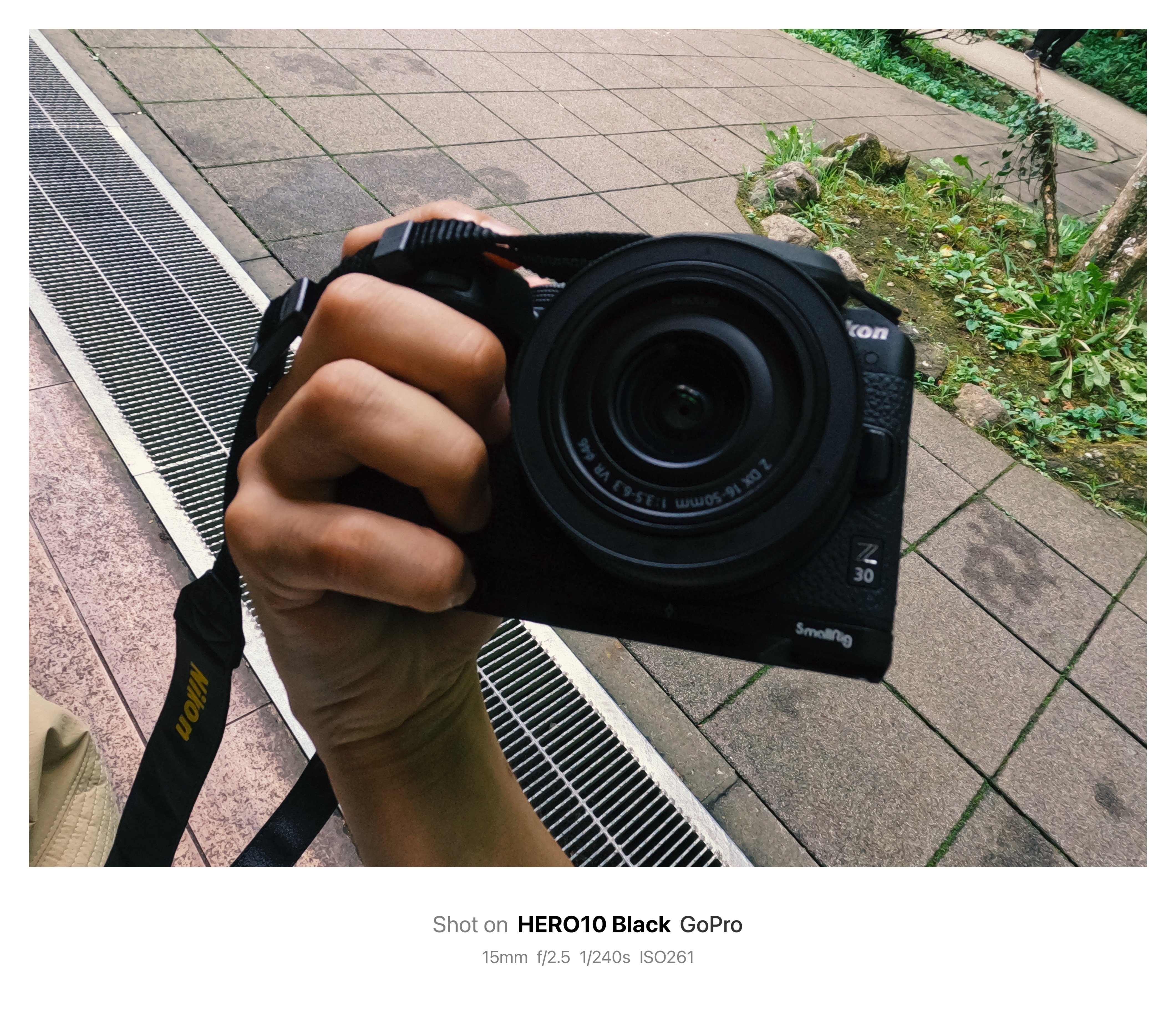 Nikon Z30はここまで