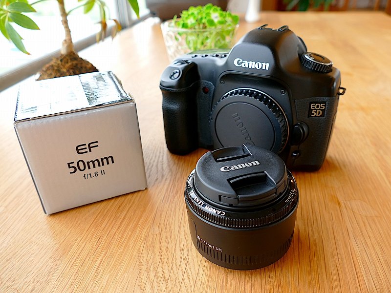 検討/購入/故障/修理】Canon 初代5D今さらレビュー!名機 検討/購入/故障/修理】Canon 初代5D今さらレビュー!名機