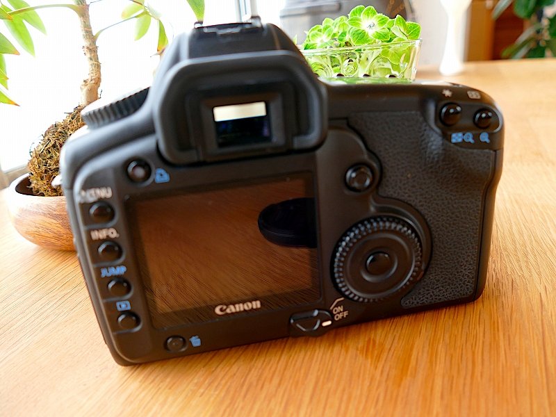 検討/購入/故障/修理】Canon 初代5D今さらレビュー!名機 検討/購入/故障/修理】Canon 初代5D今さらレビュー!名機