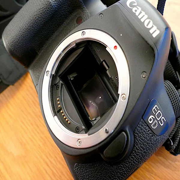 検討/購入/故障/修理】Canon 初代5D今さらレビュー！名機にまつわる