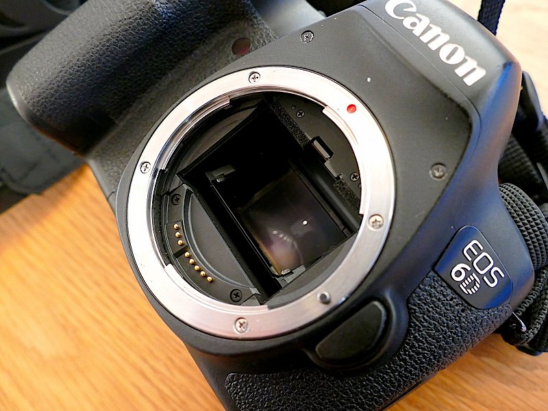 検討/購入/故障/修理】Canon 初代5D今さらレビュー!名機 検討/購入/故障/修理】Canon 初代5D今さらレビュー!名機