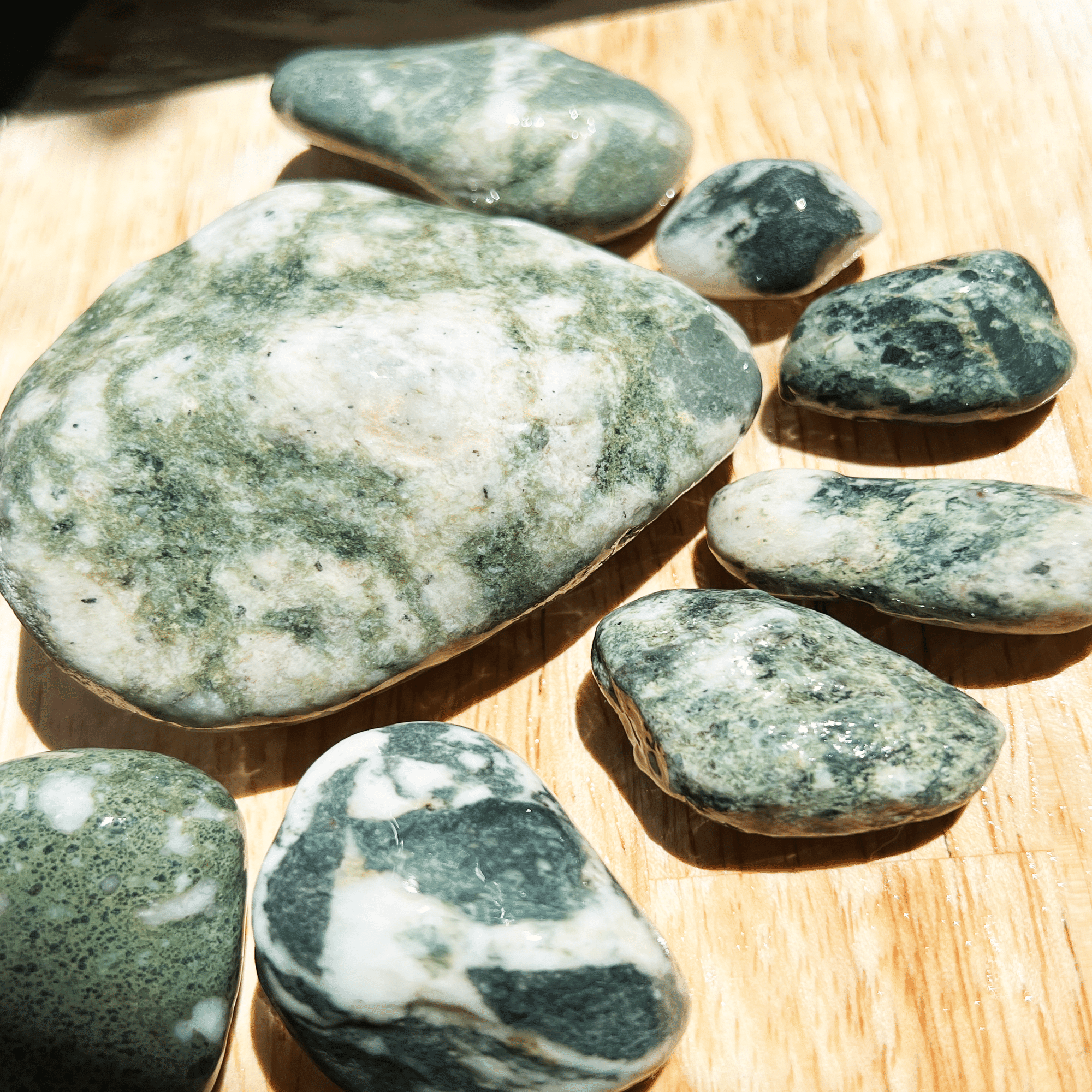 小田原ビーチコーミング。拾った石たちの中に面白いものがあった。｜Ms