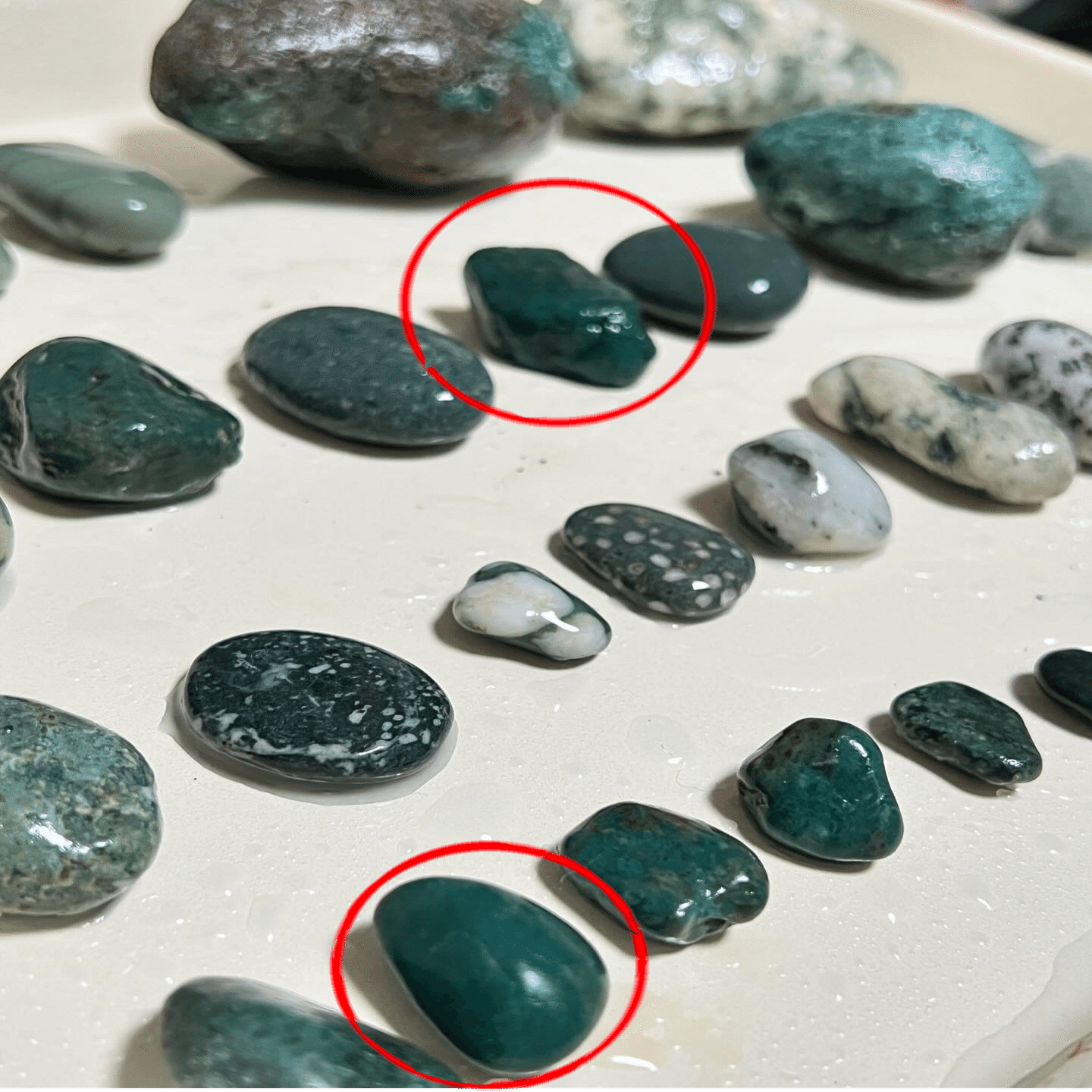 小田原ビーチコーミング。拾った石たちの中に面白いものがあった。｜Ms