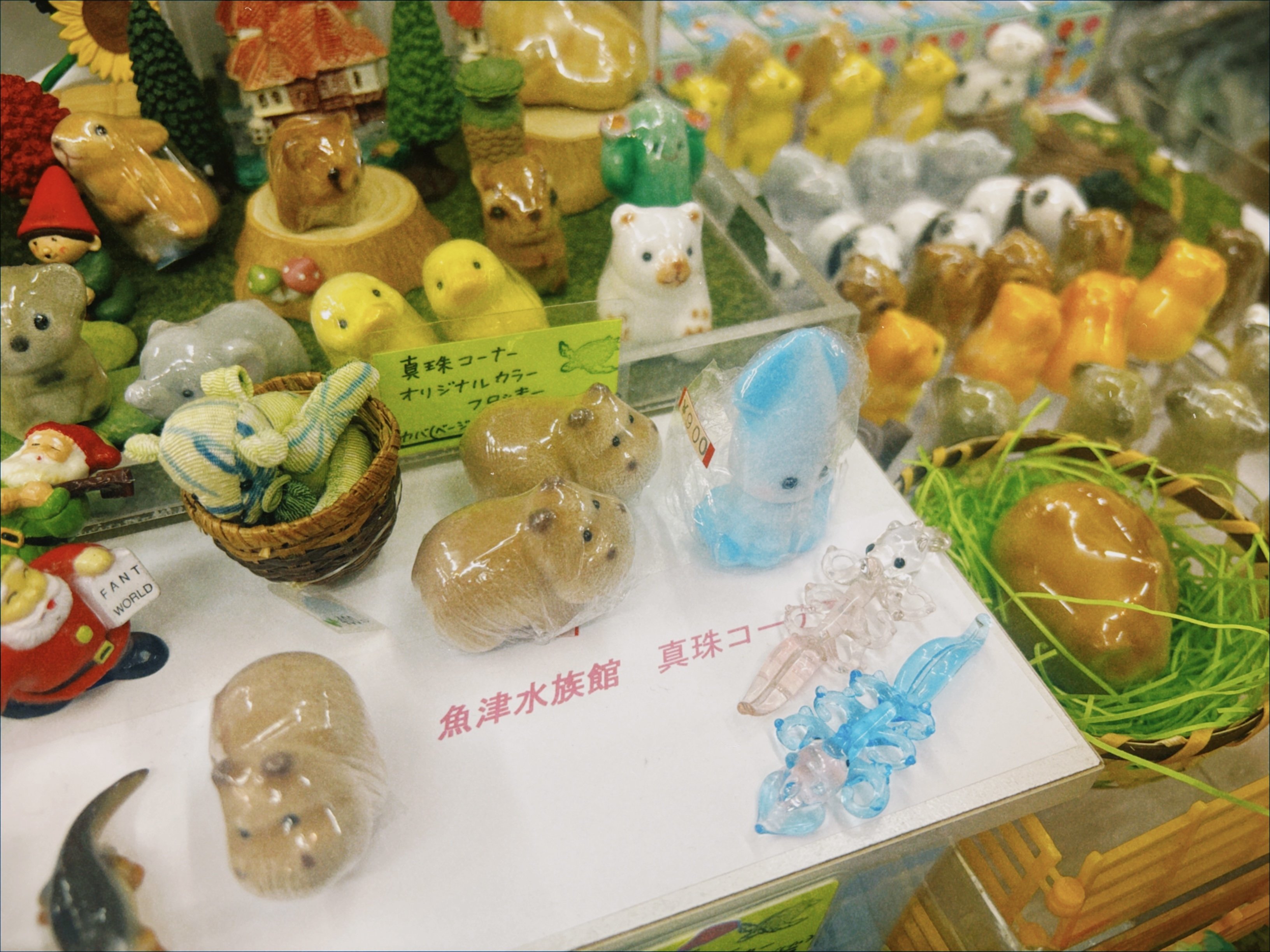 富山ひとり旅②魚津水族館と真珠コーナー〜北陸3県2Dayパス〜｜狸山