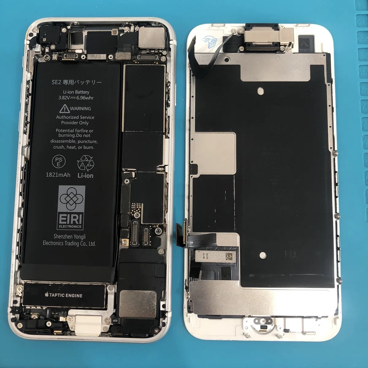 Volumm Key iPhone SE2 Silent Switch & Volume Button Repair|スマホ修理工房Rinkan