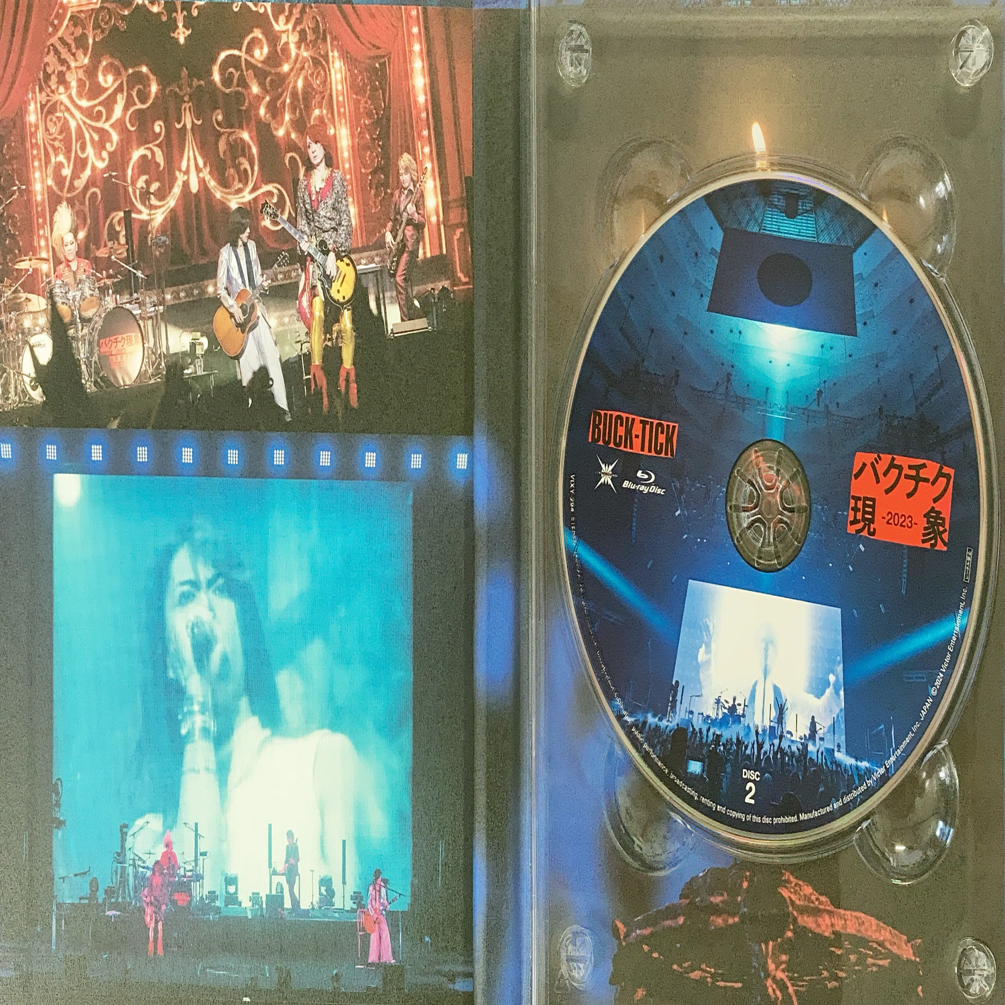 DVD】バクチク現象-2023-｜ききょう