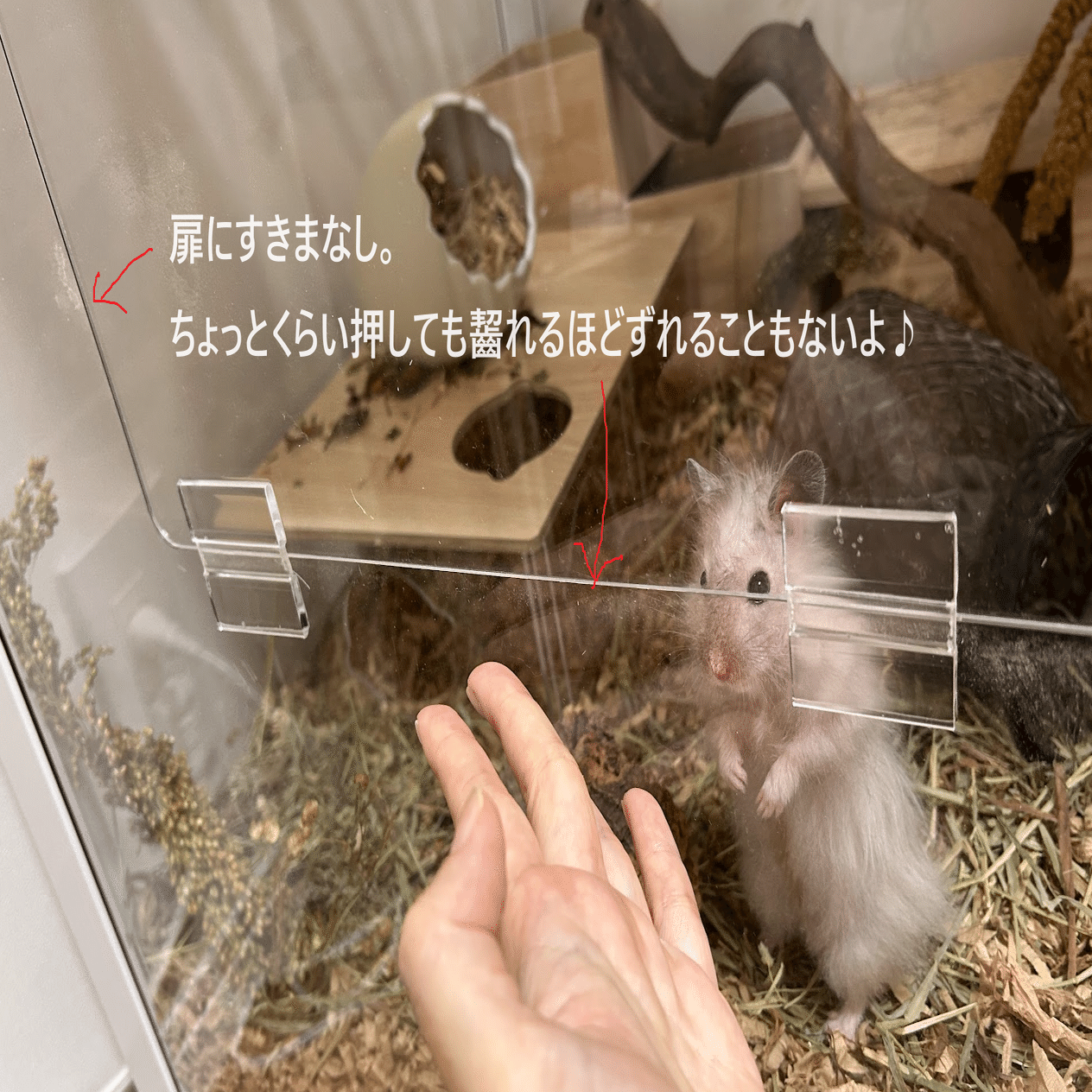🐹120cmケージについて💡｜ふくまる