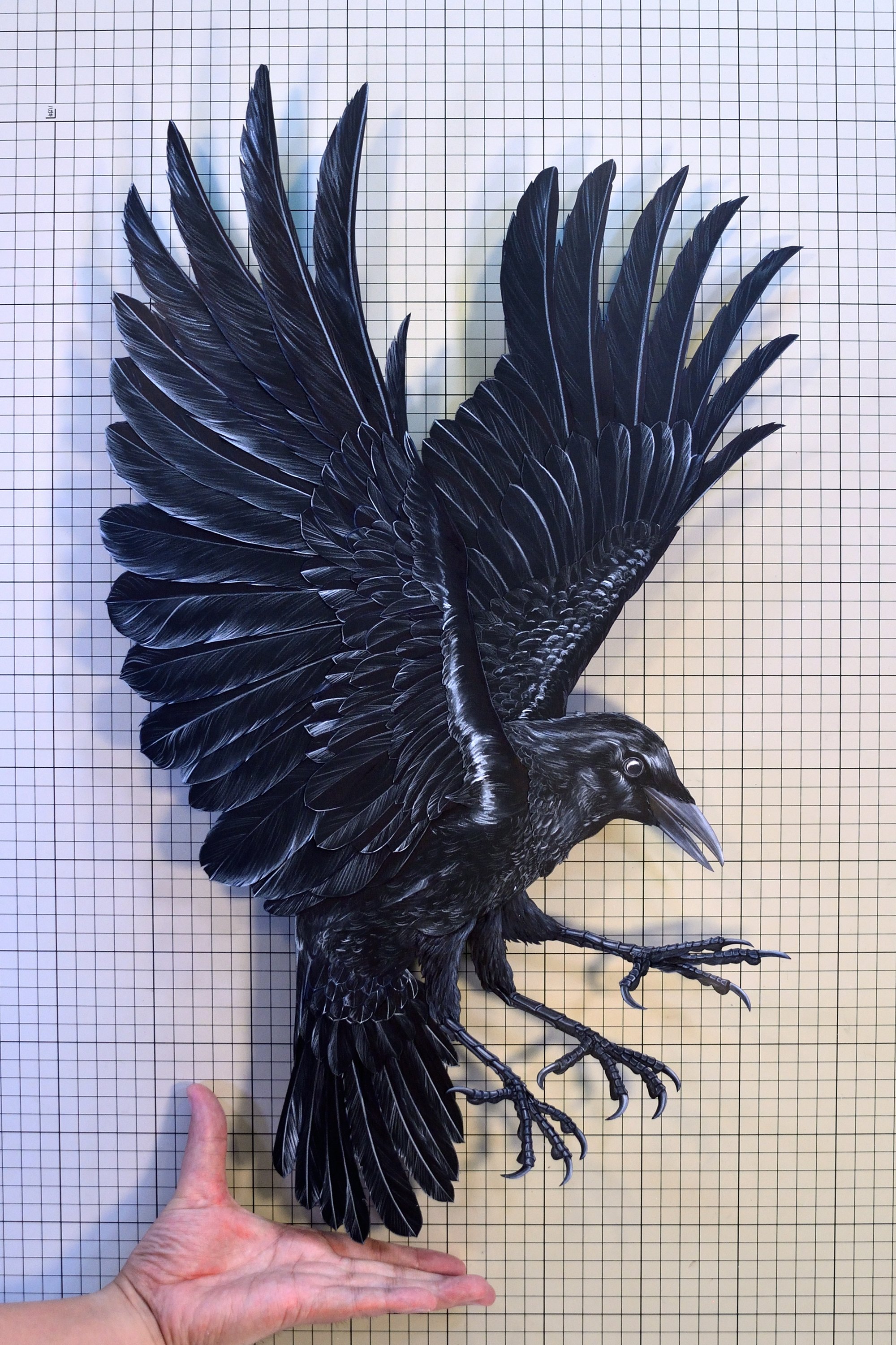 八咫烏出品 八咫烏｜Jumpei Kawamura