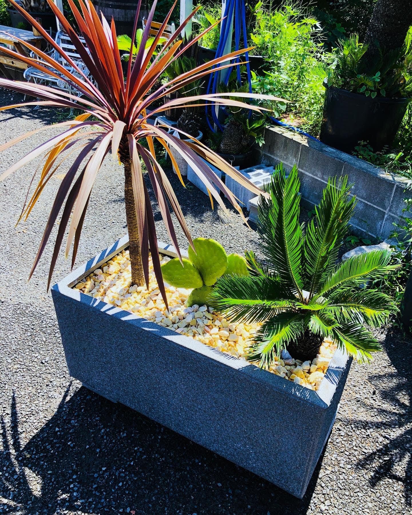 グランドセール ドライガーデンプランター｜🌴Yasu🌴 その他観葉植物