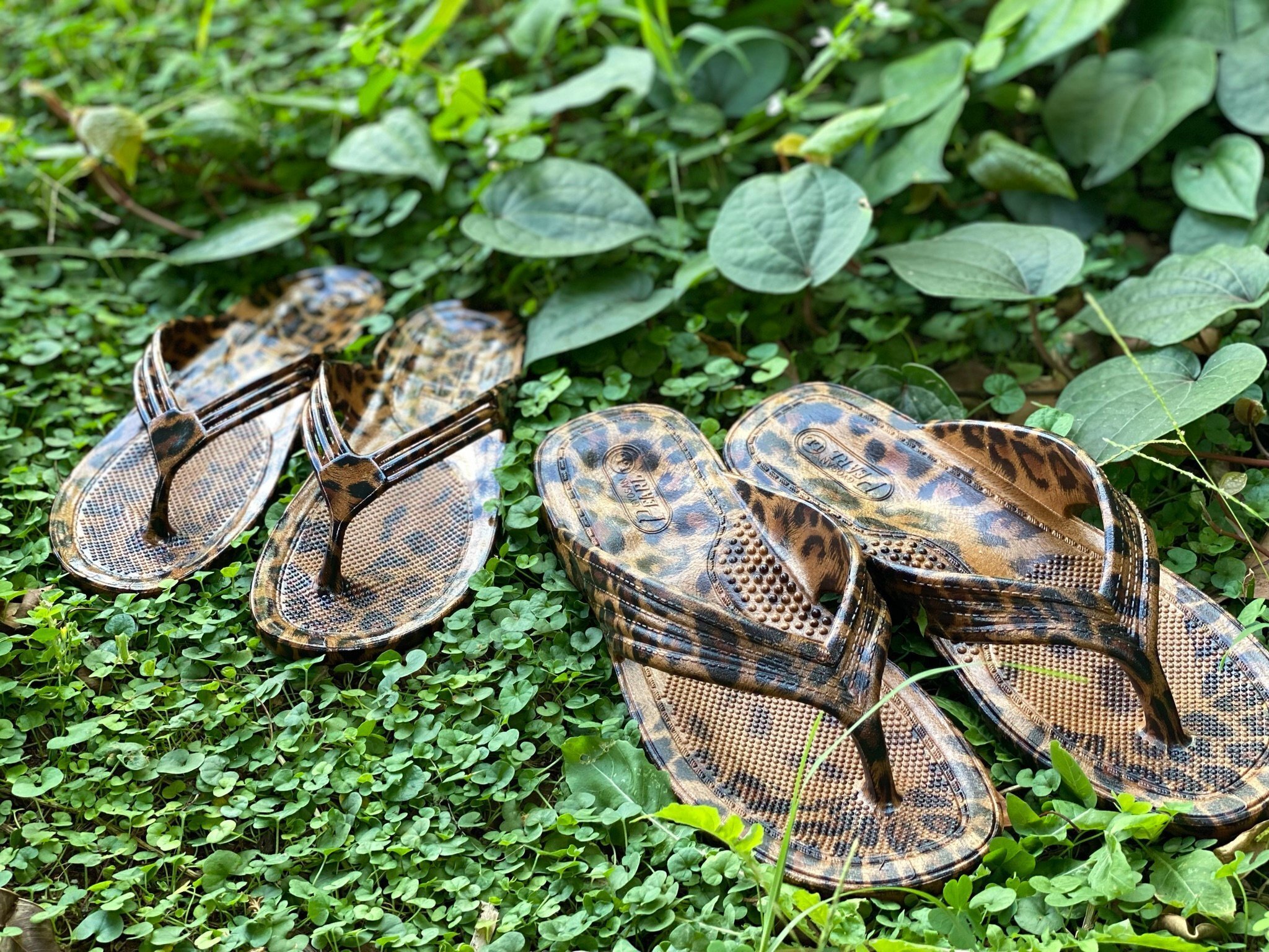 ヒョウ柄ギョサン 今シーズン最後の大量入荷!|ぎょさんネット ヒョウ柄ギョサン 今シーズン最後の大量入荷!|ぎょさんネット