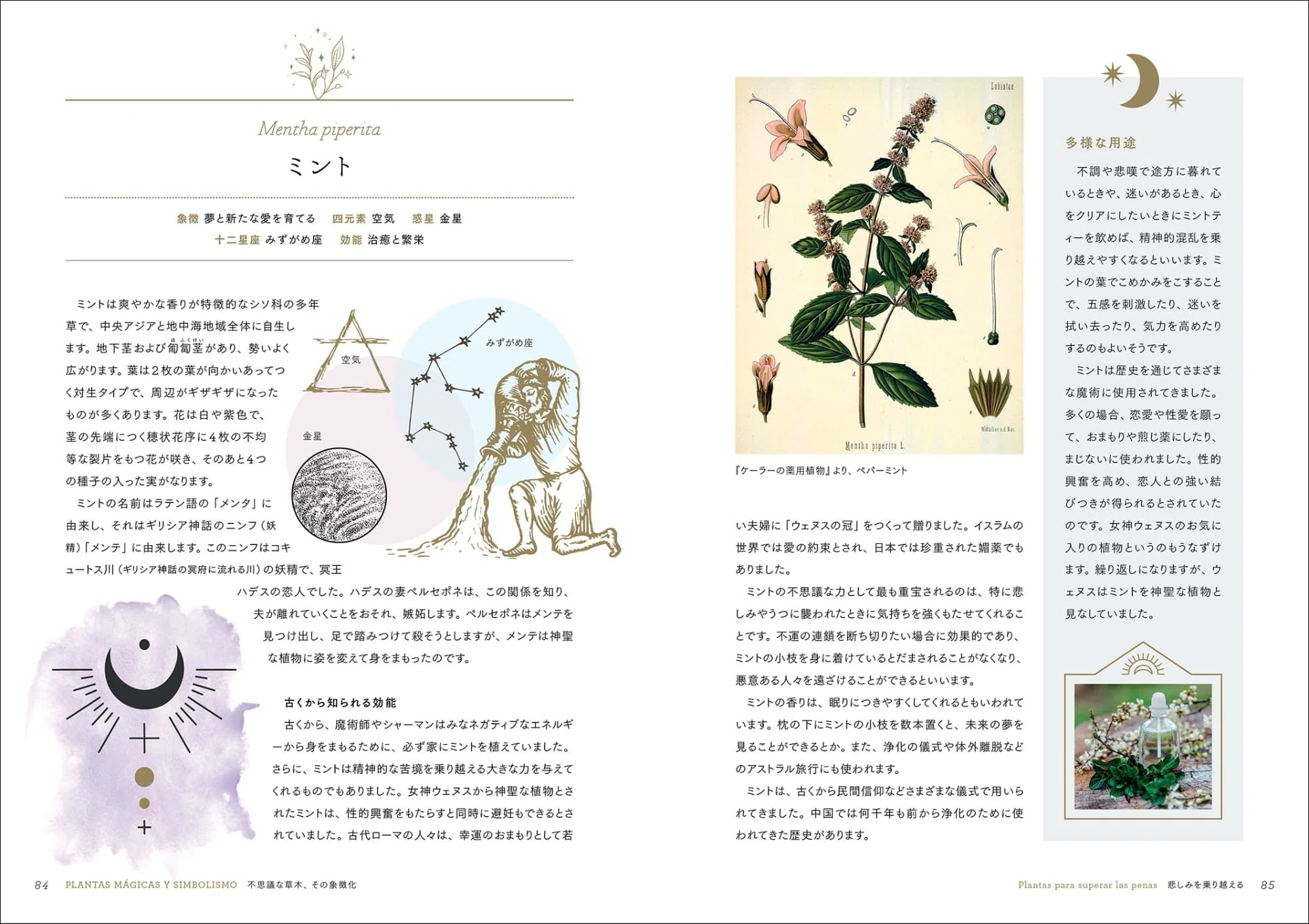 様々な観点から植物と「人の神秘的なつながり」を紐解く『植物の不思議