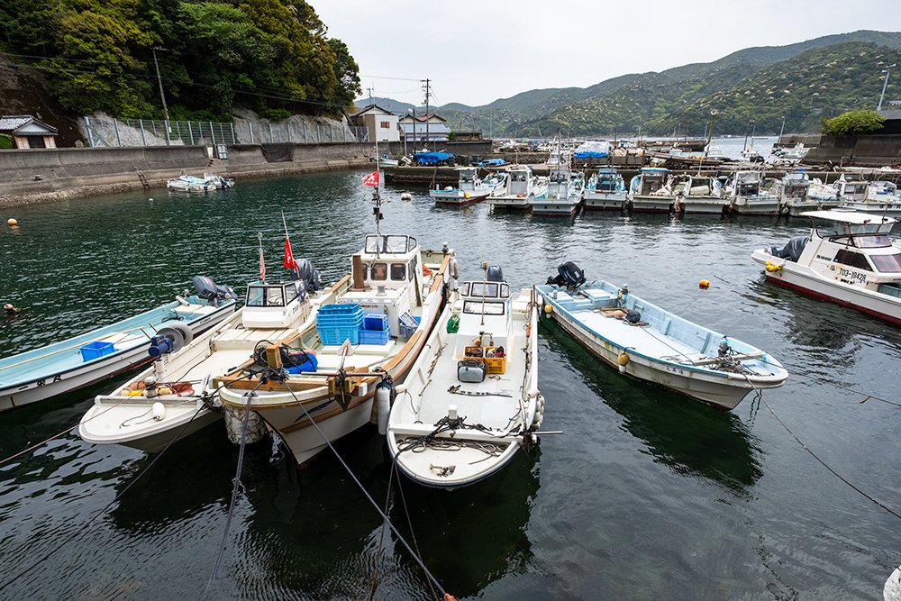 徳島県阿南市椿泊町の港