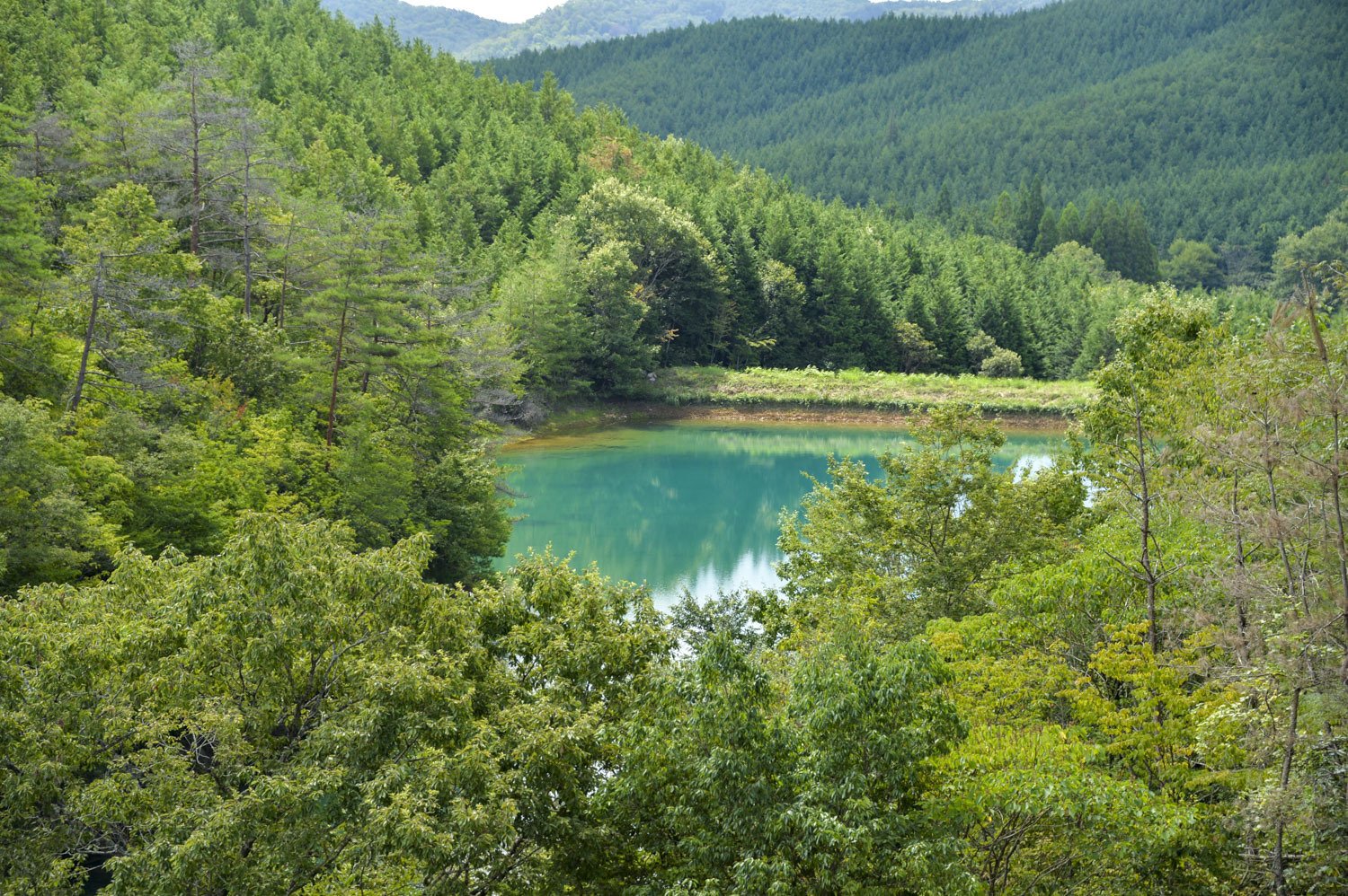 うつわイベントの準備＆青い池を見てきました！｜くらしアトリエ(地域