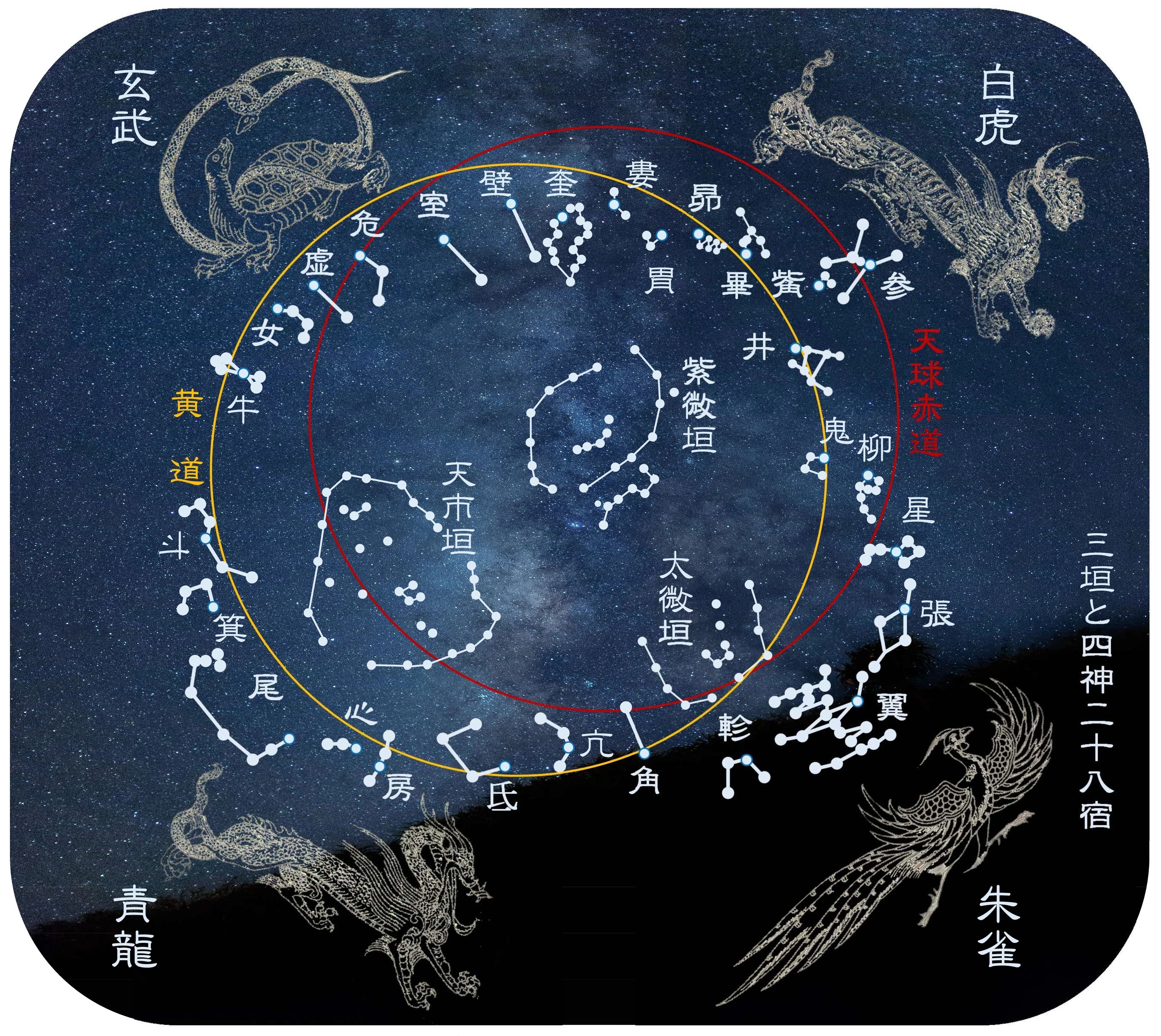 95636968_4