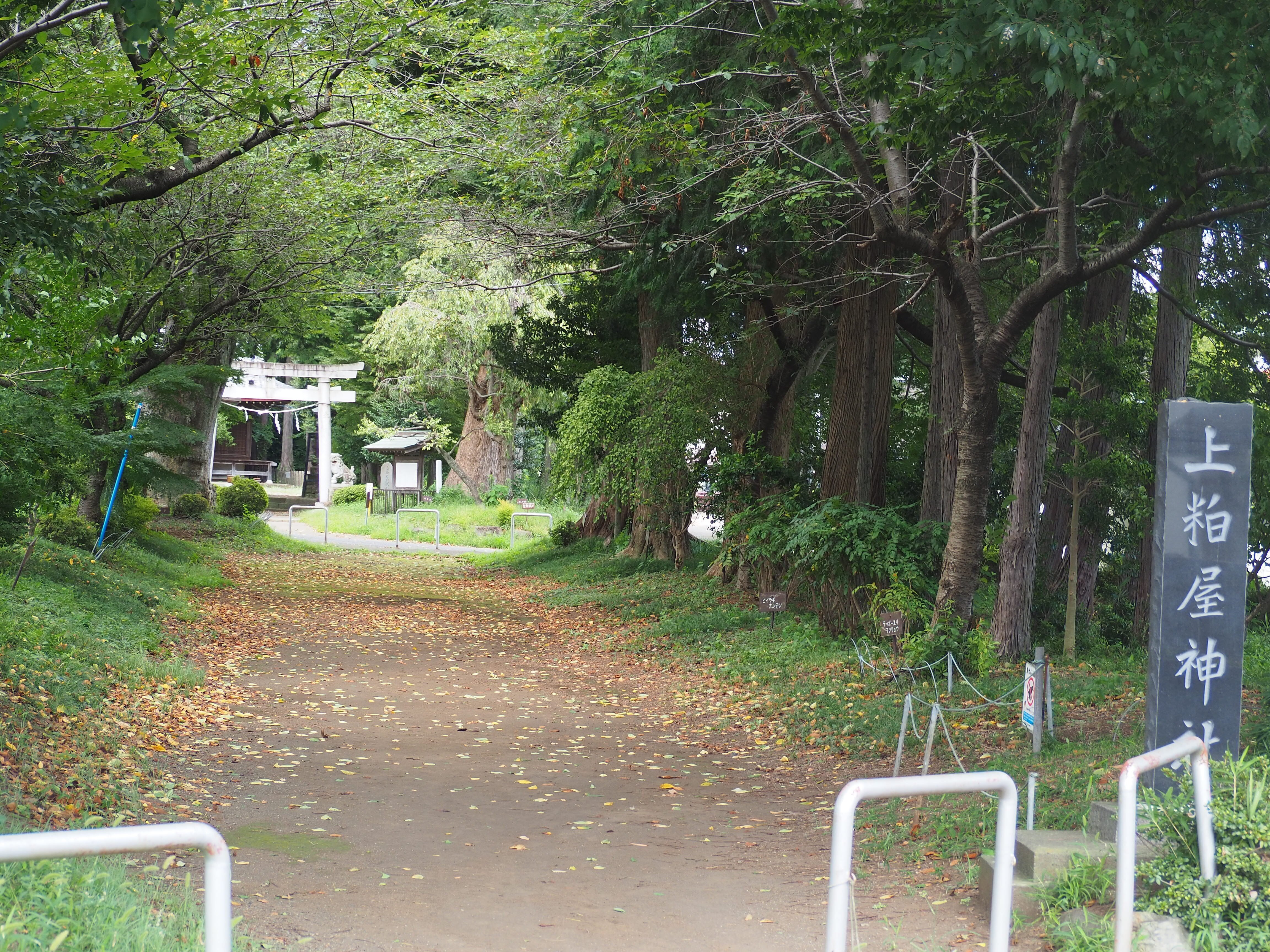 伊勢原を歩く①～太田道灌終焉の地｜かずくんの備忘録