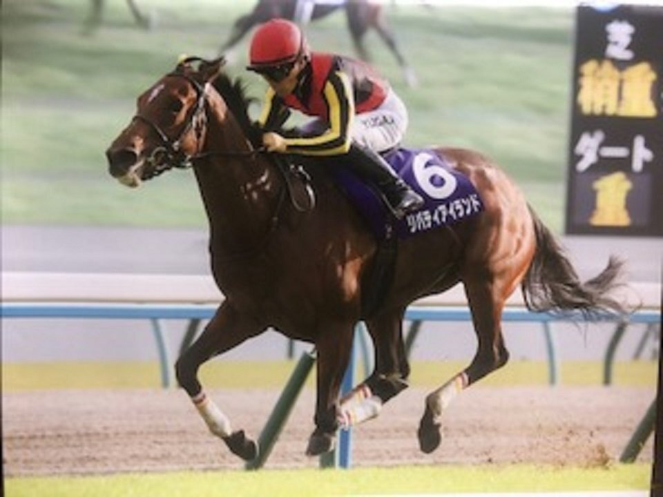 ナチュラルライズ　馬券　カトレアステークス　現地的中馬券　直筆サイン　騎手 ナチュラルライズ 馬券 カトレアステークス 現地的中馬券 直筆