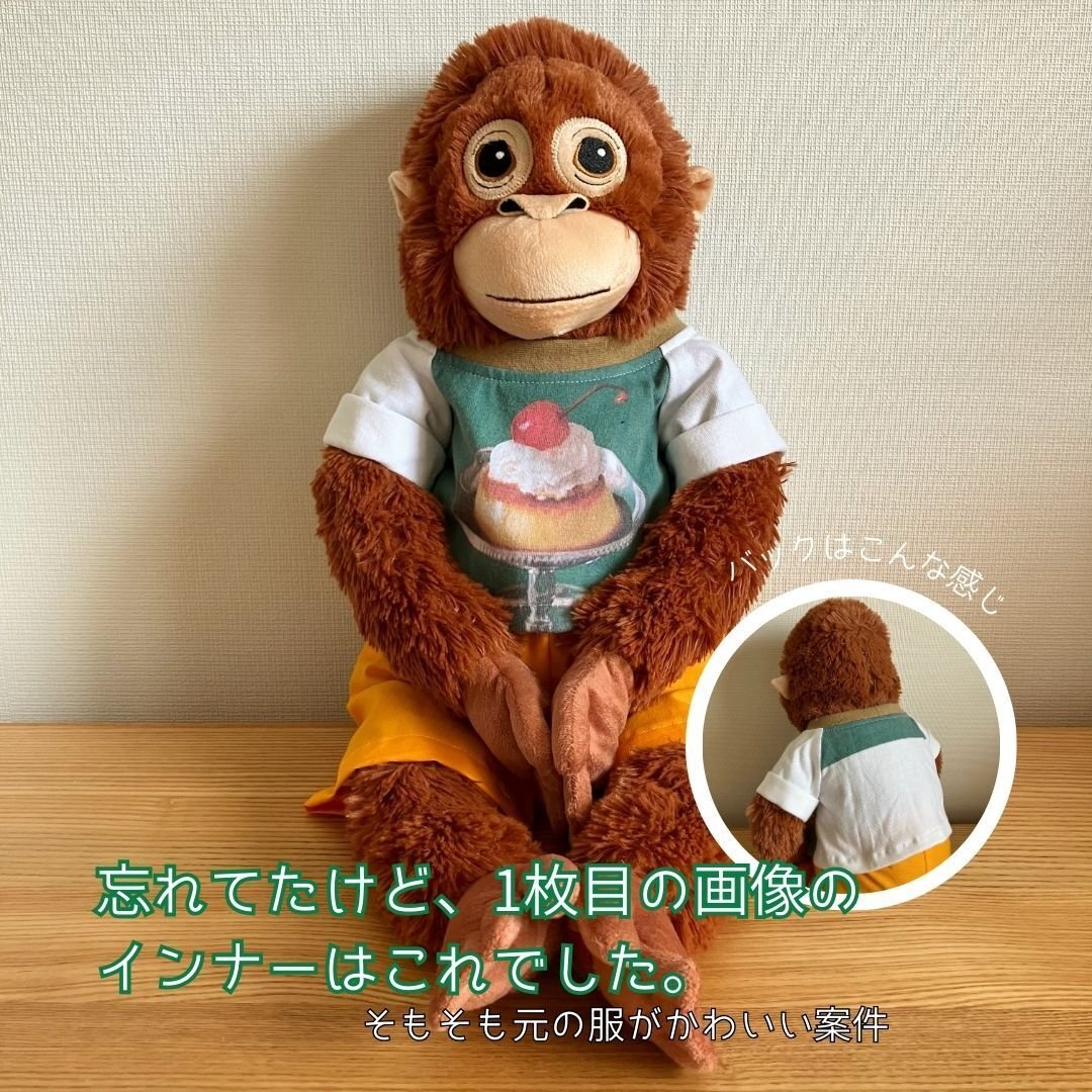 2024/08/29 ぬいぐるみ服できたよ ｜モミ