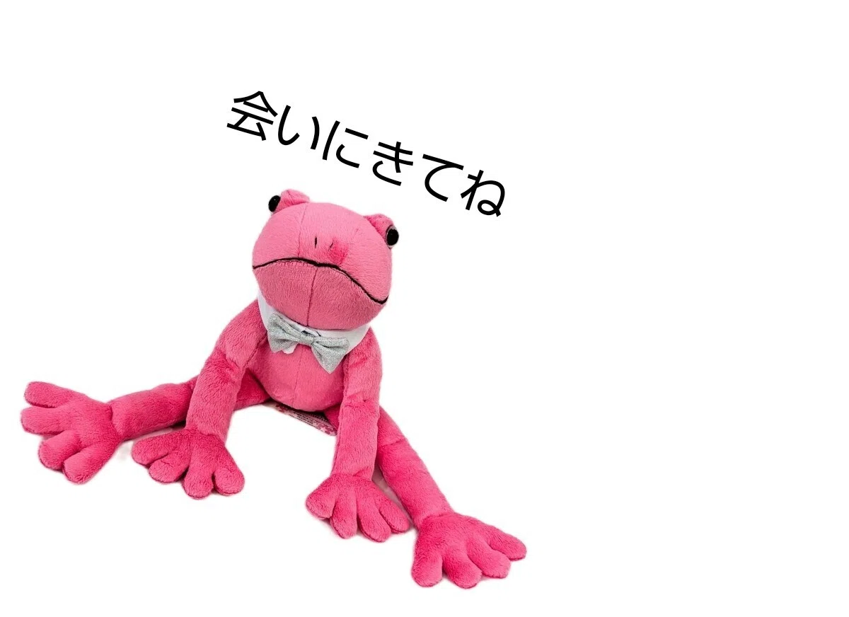 限定デザイン かえるのブリトー｜生活パズル