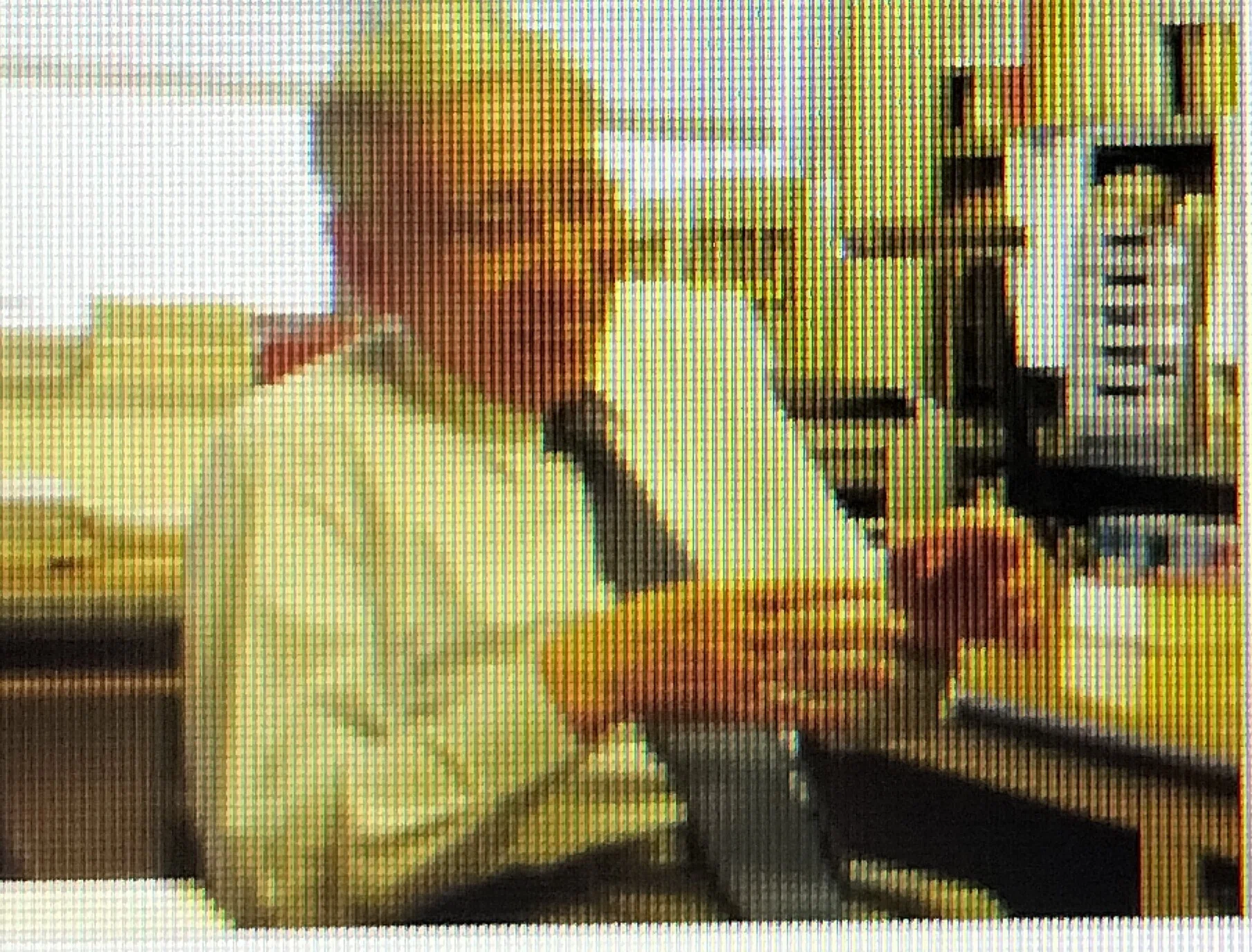 立命館大学初代生命科学部長谷口吉弘先生に聞く、BKCの誕生にみる大学