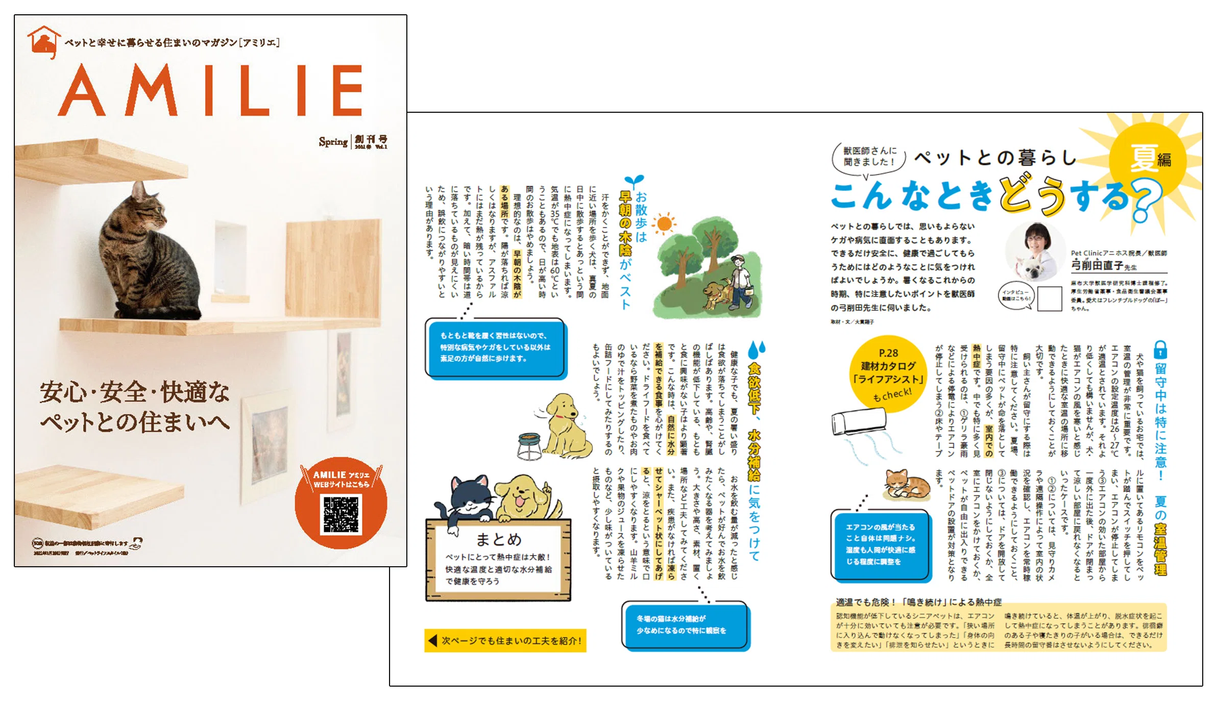 プロフィールと制作実績｜編集／ライター 大貫翔子｜大貫翔子