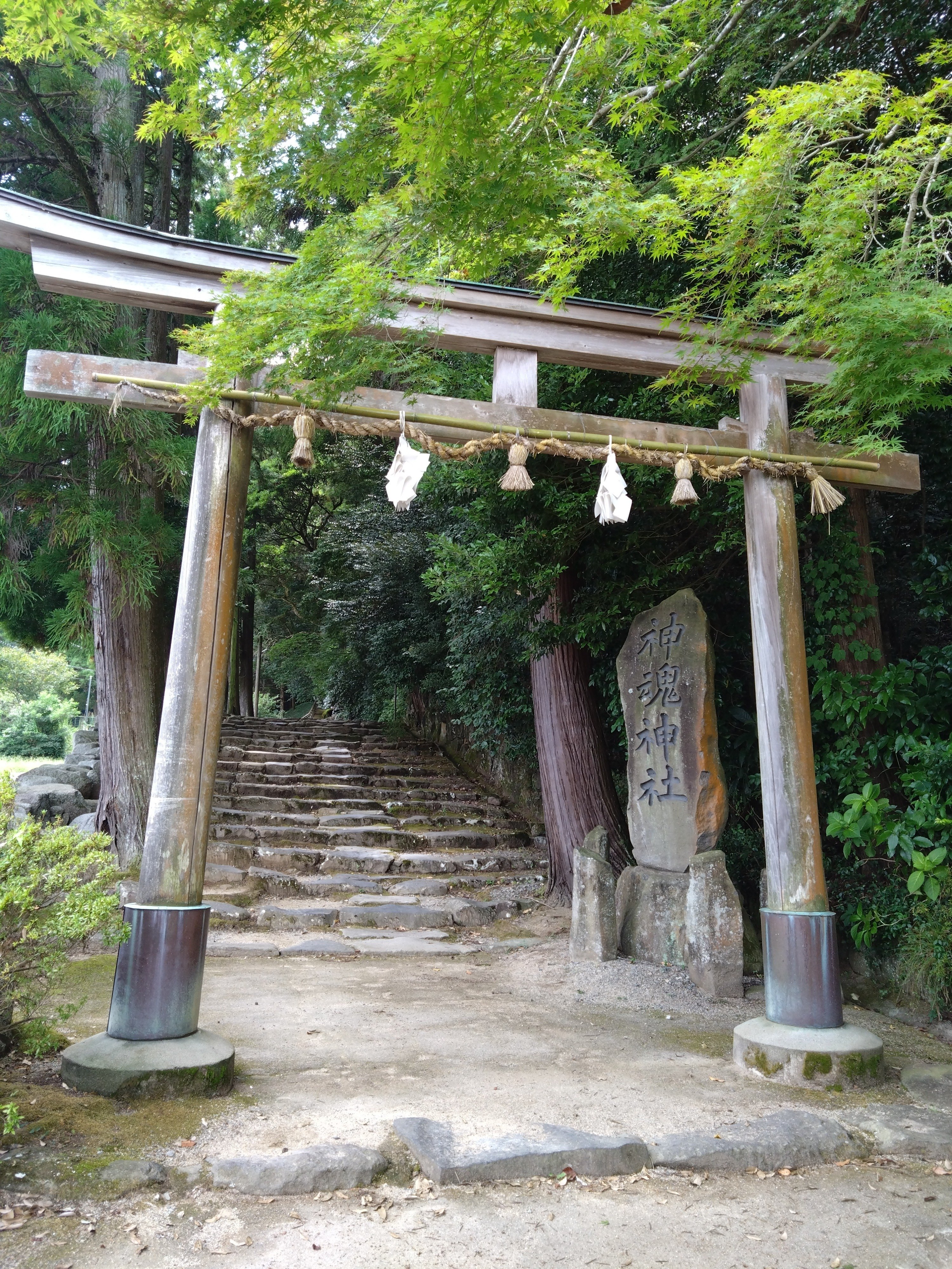 意宇六社めぐりと観光列車の旅〜その2〜神社編｜あいは
