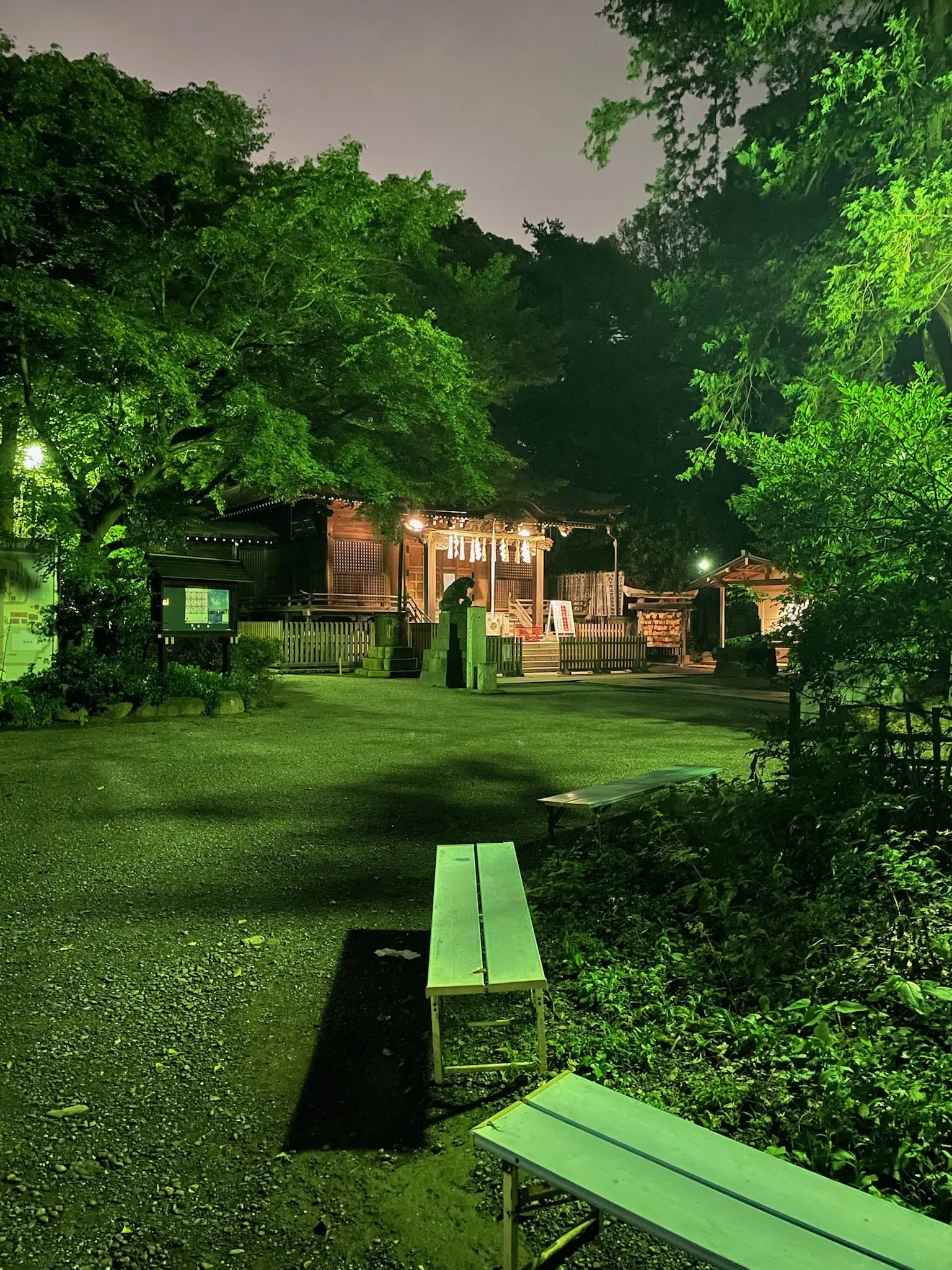 伏見稲荷はほんとにすごかった！（伏見稲荷〜天津神社へ）その1