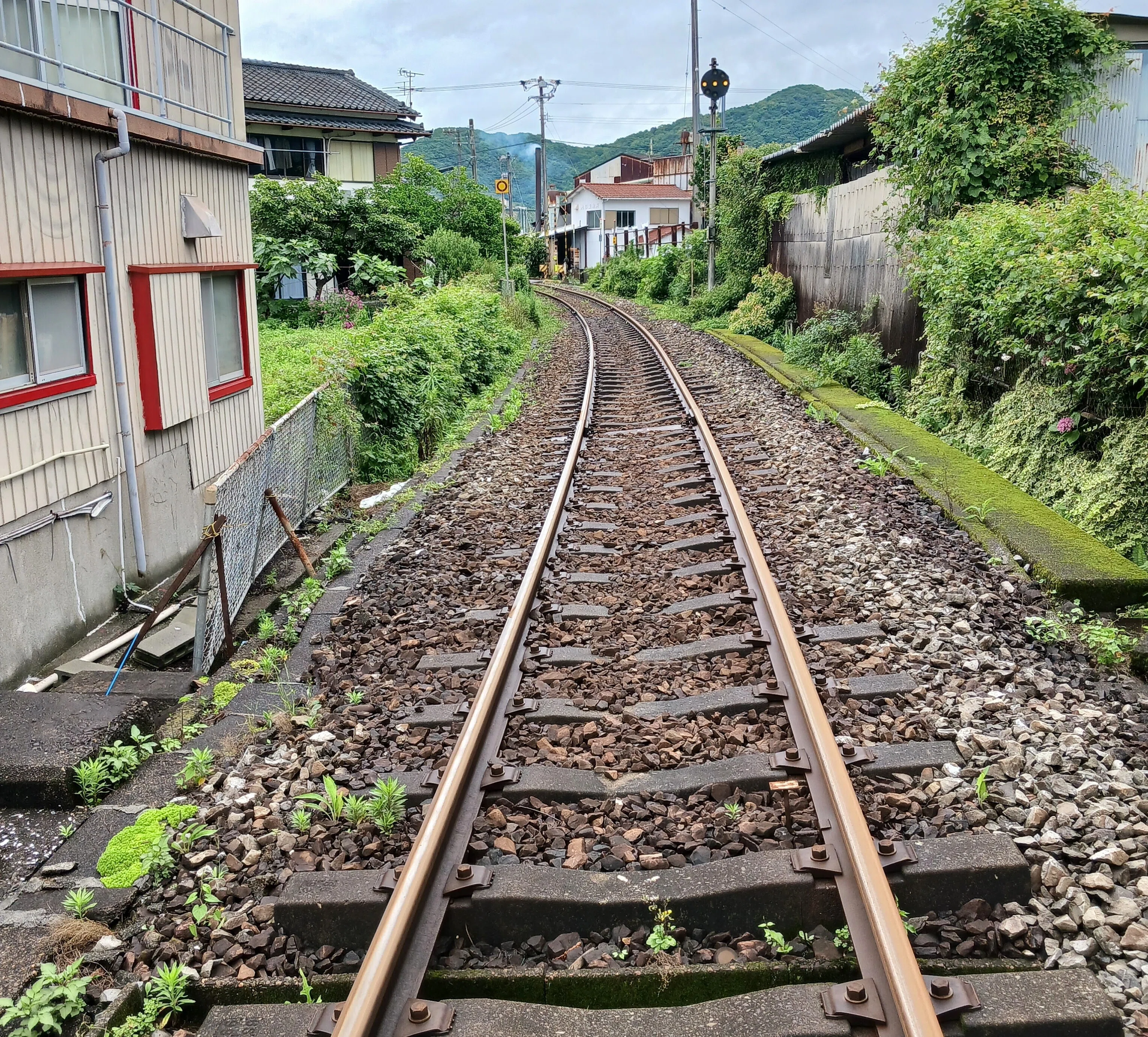 高知の港町に「トトロの家」。アニメファン必見の聖地？｜中山道雄