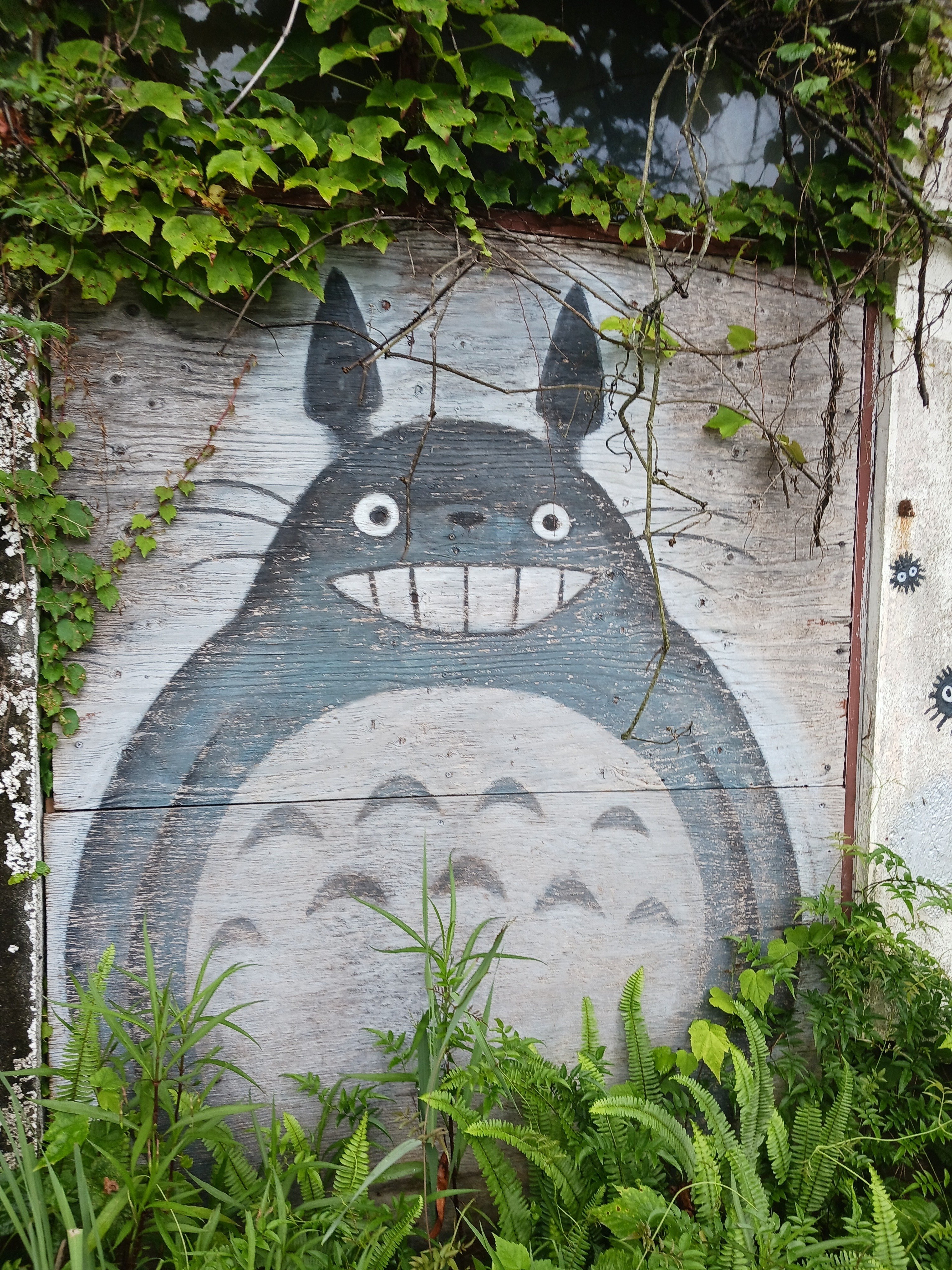 高知の港町に「トトロの家」。アニメファン必見の聖地？｜中山道雄