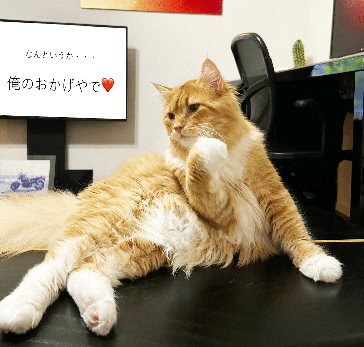 嬉しい出来事。「技工くん」とWHITE CROSS。時々、ぽんずさん｜赤司征