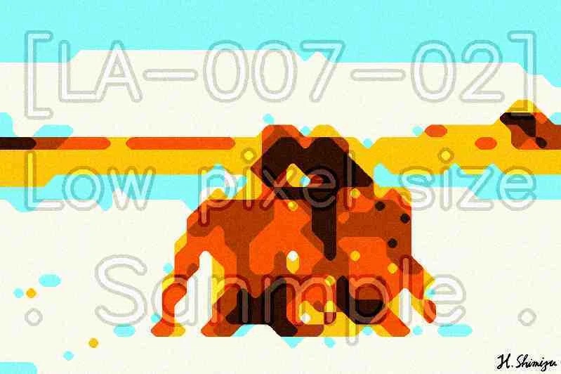 Color Pattern [LA-007]｜DongriDonD
