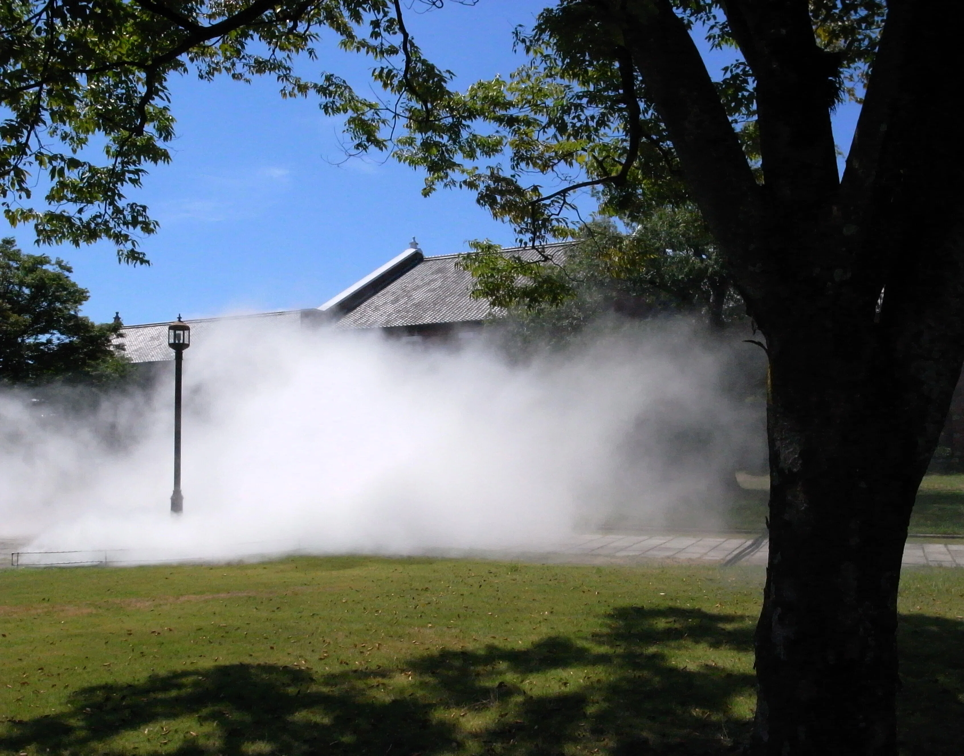 Exhibition Report: Fujiko Nakaya's 'Fog Sculpture' - An Immersive