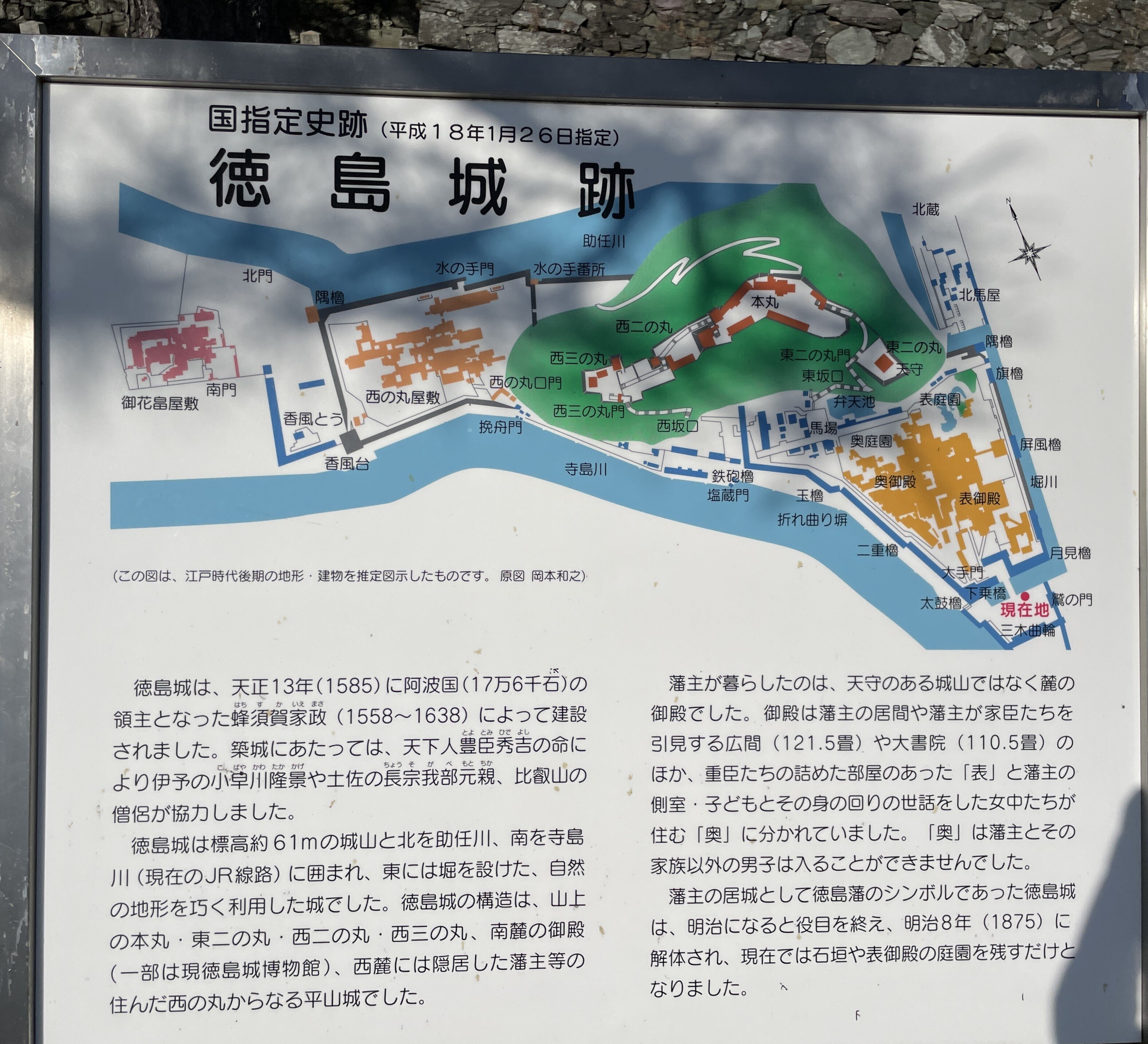 明治時代　本物保証　阿波　徳島　森魚淵　富貴図 10月5日まで】徳島城博物館 秋の企画展 「阿波コレクション