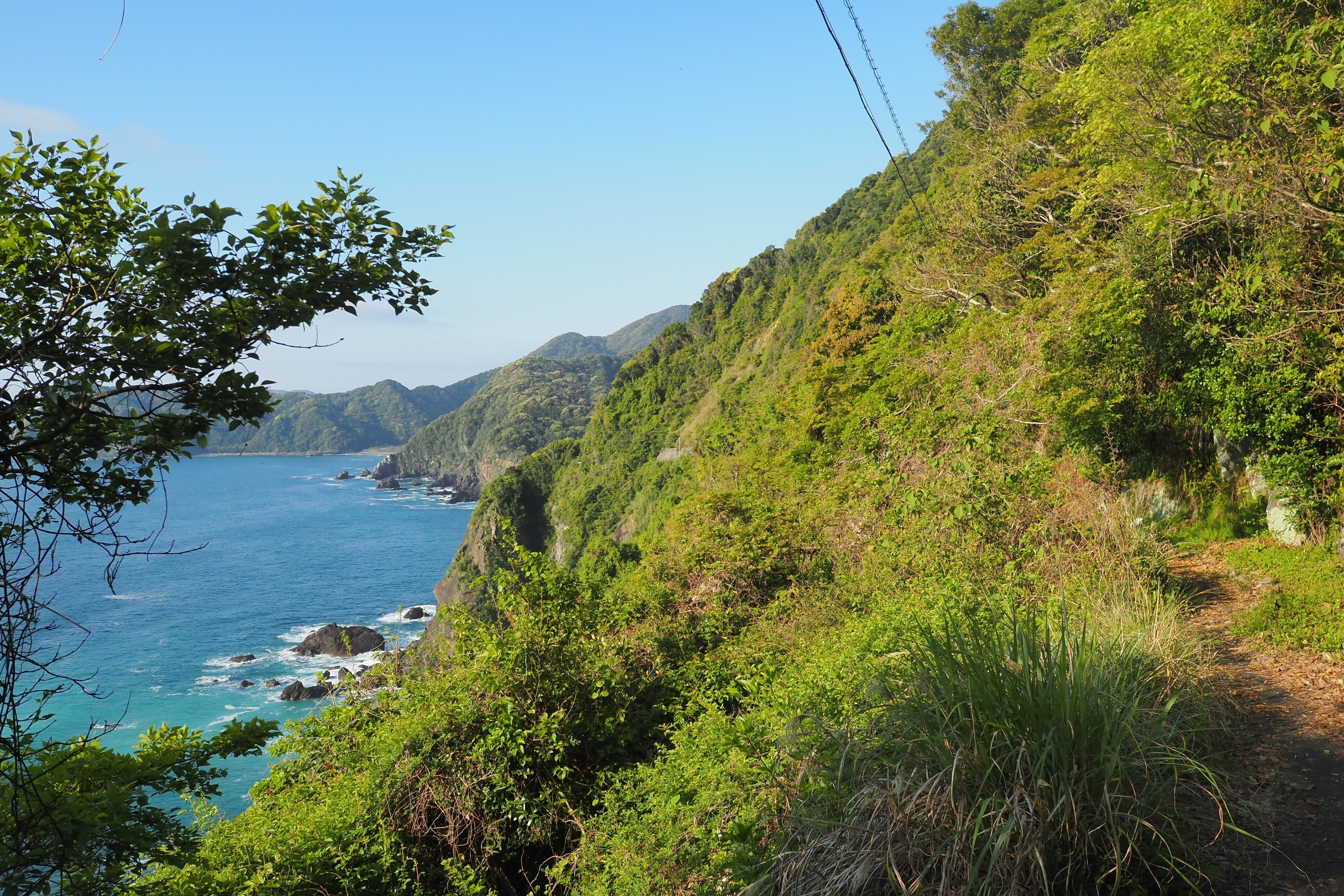 2024.04.14 四万十町興津散策｜ふじ