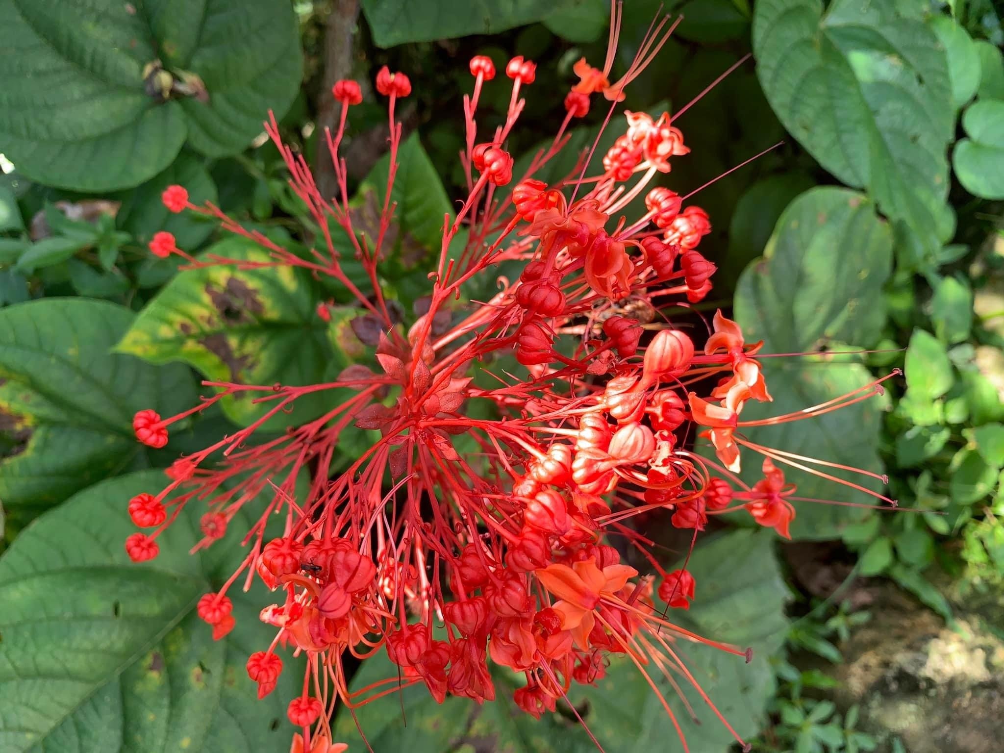 自分の流れを見つけよう