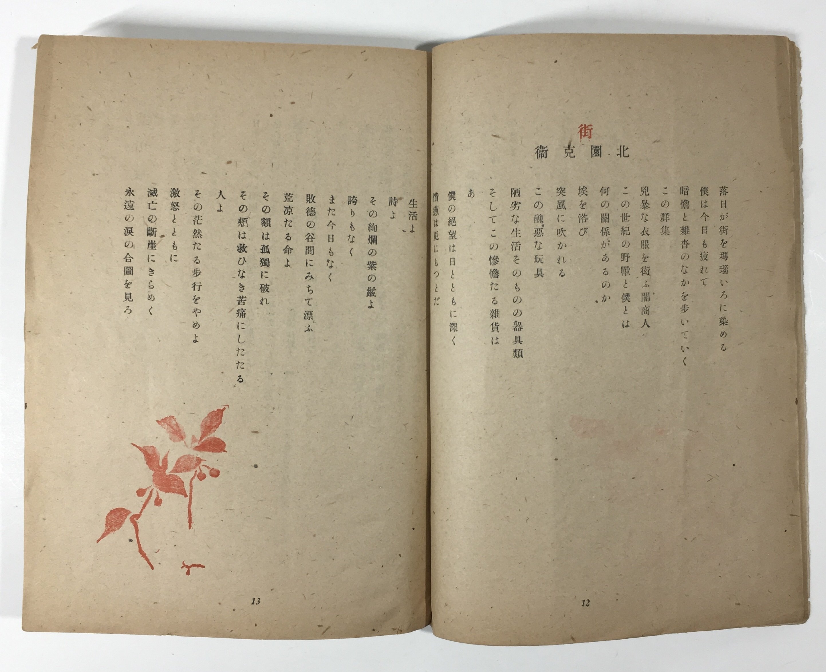 裸で感情を吐露しているから、といってこの詩人の姿が見えた、と 裸で感情を吐露しているから、といってこの詩人の姿が見えた、と