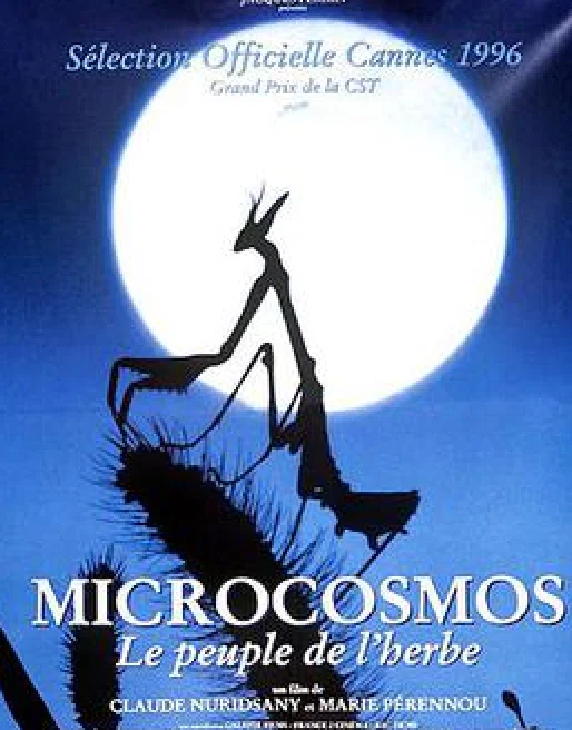 ミクロコスモス 映画フライヤー 希少品 入手困難 レア MICROCOSMOS 大人になってから、「小さな」世界の扉が開く瞬間のワクワク｜山林