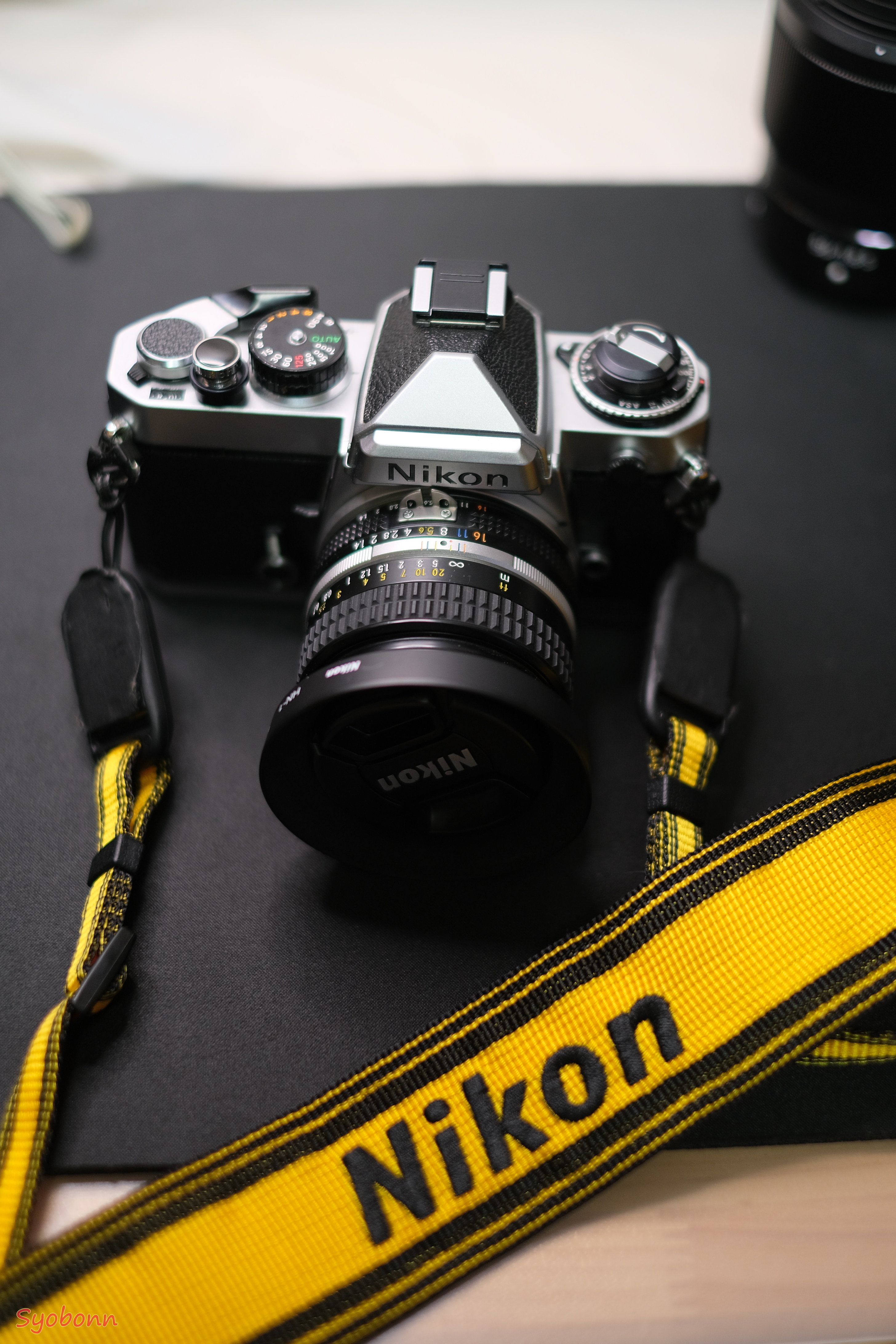 2024年Nikonのカメラとレンズ|(´・ω・`) 2024年Nikonのカメラとレンズ|(´・ω・`)