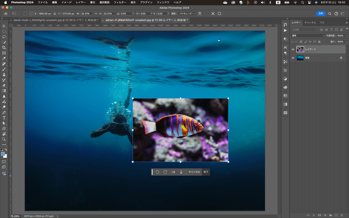 Photoshop Tutorial No.235切り抜き編 12 レイヤーマスク｜mitchy