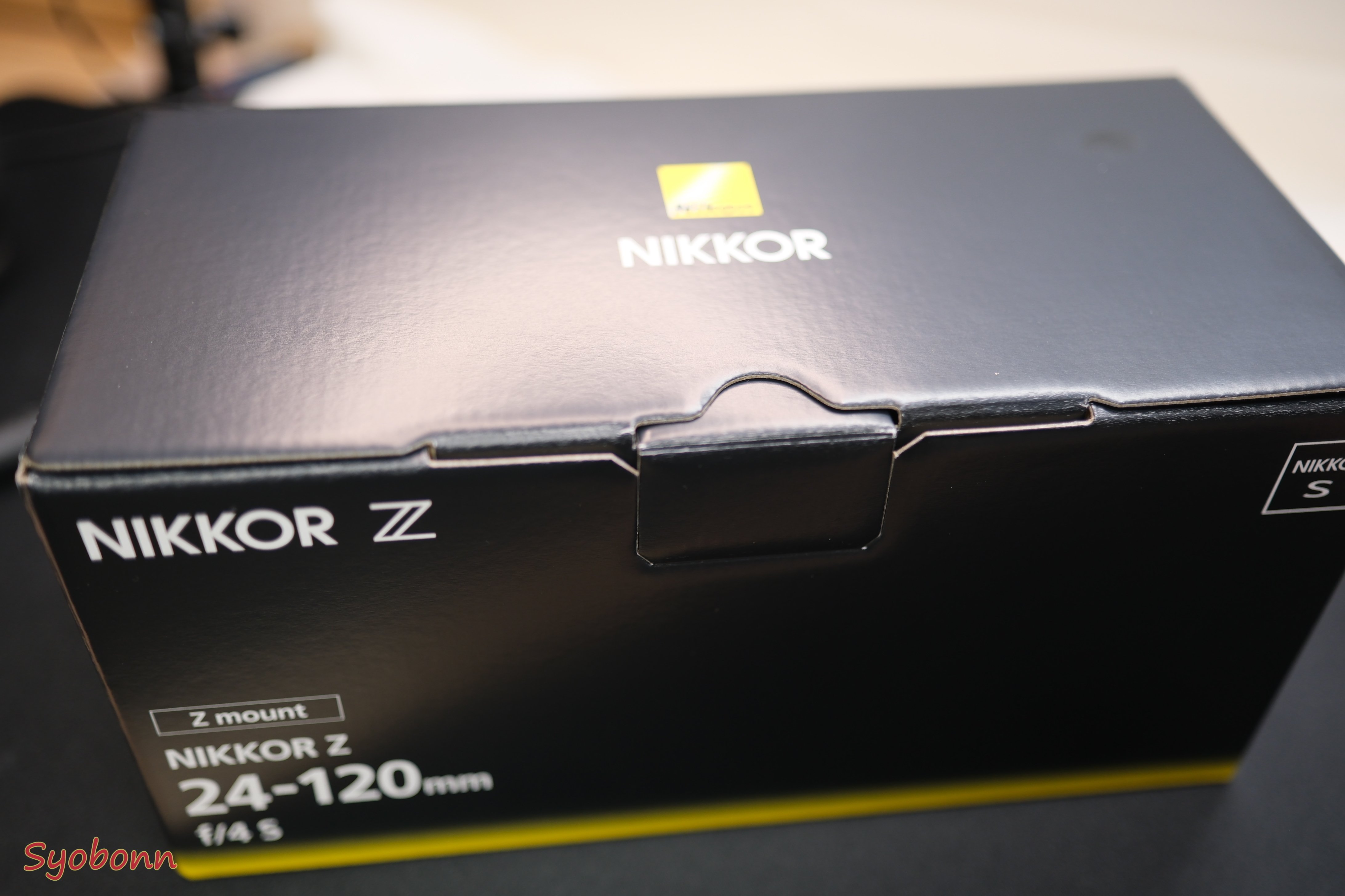 2024年Nikonのカメラとレンズ|(´・ω・`) 2024年Nikonのカメラとレンズ|(´・ω・`)