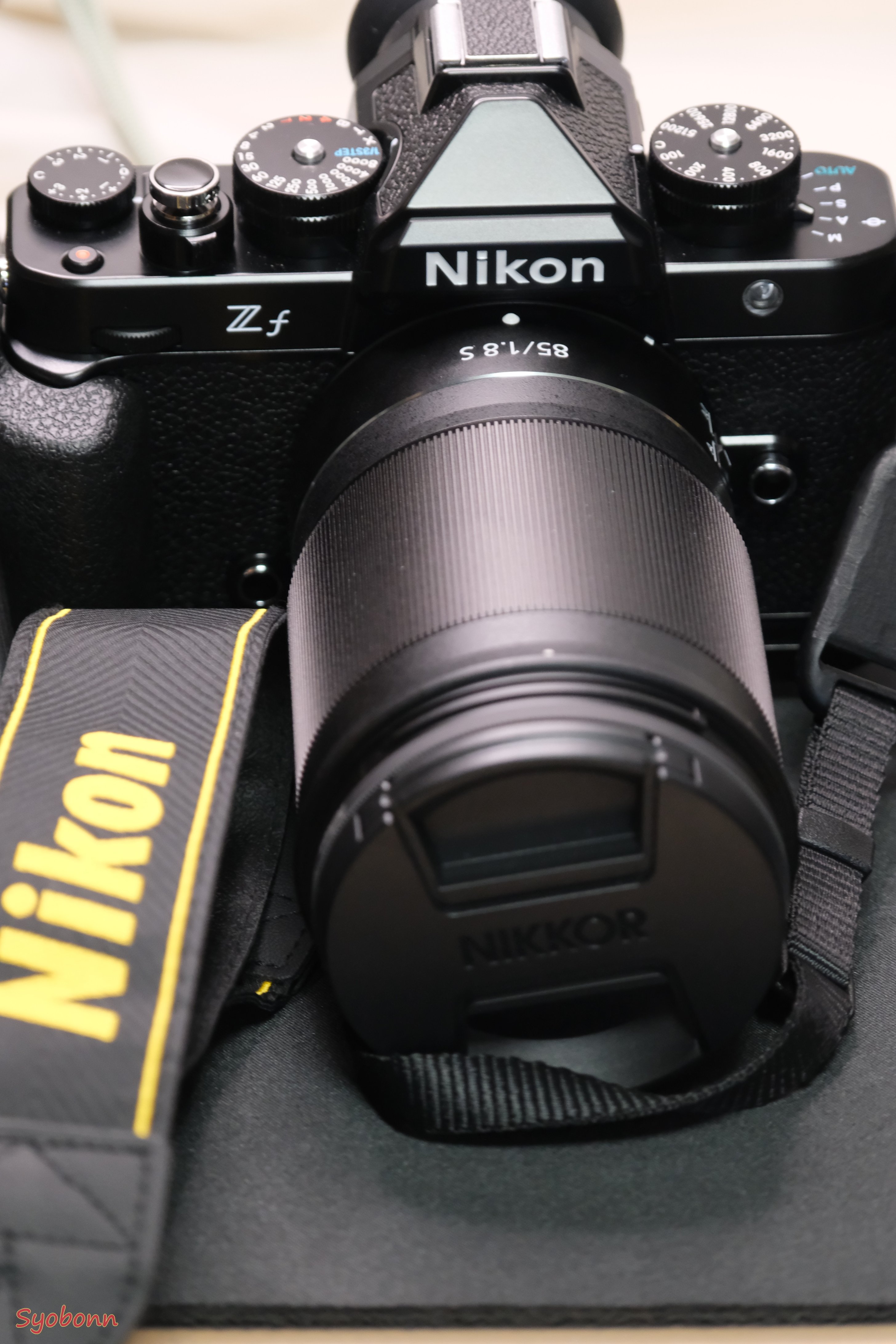 2024年Nikonのカメラとレンズ|(´・ω・`) 2024年Nikonのカメラとレンズ|(´・ω・`)