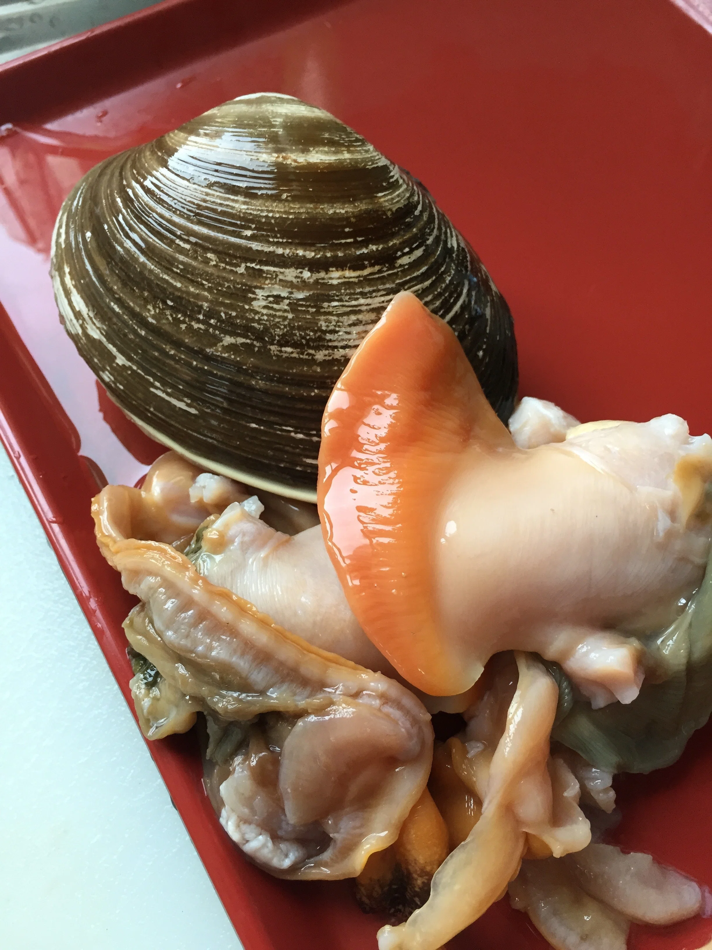 中国で食材と戯る。（3） 北寄貝｜古原貴大