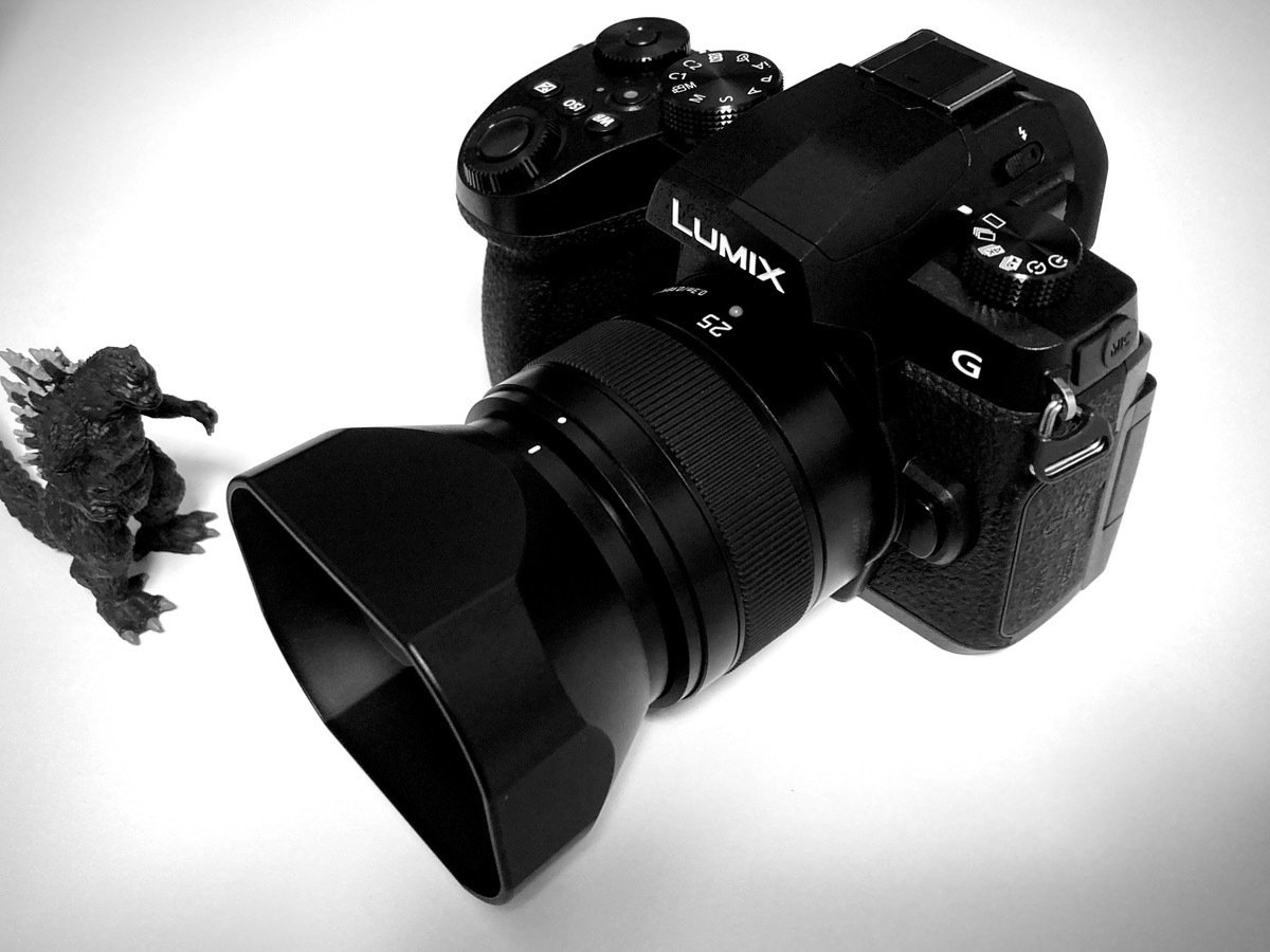 レンズ比較】LEICA DG SUMMILUXでモノクロ写真を撮ってみた！｜haru