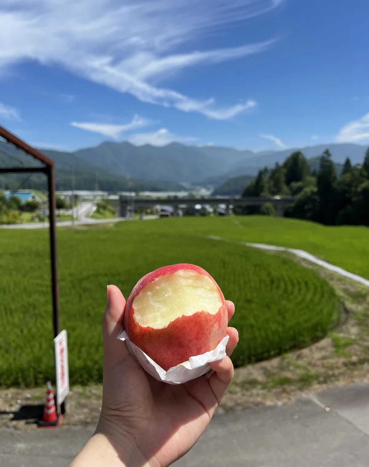 桃は皮ごと食べるんがうまいんやさ🍑|yuma