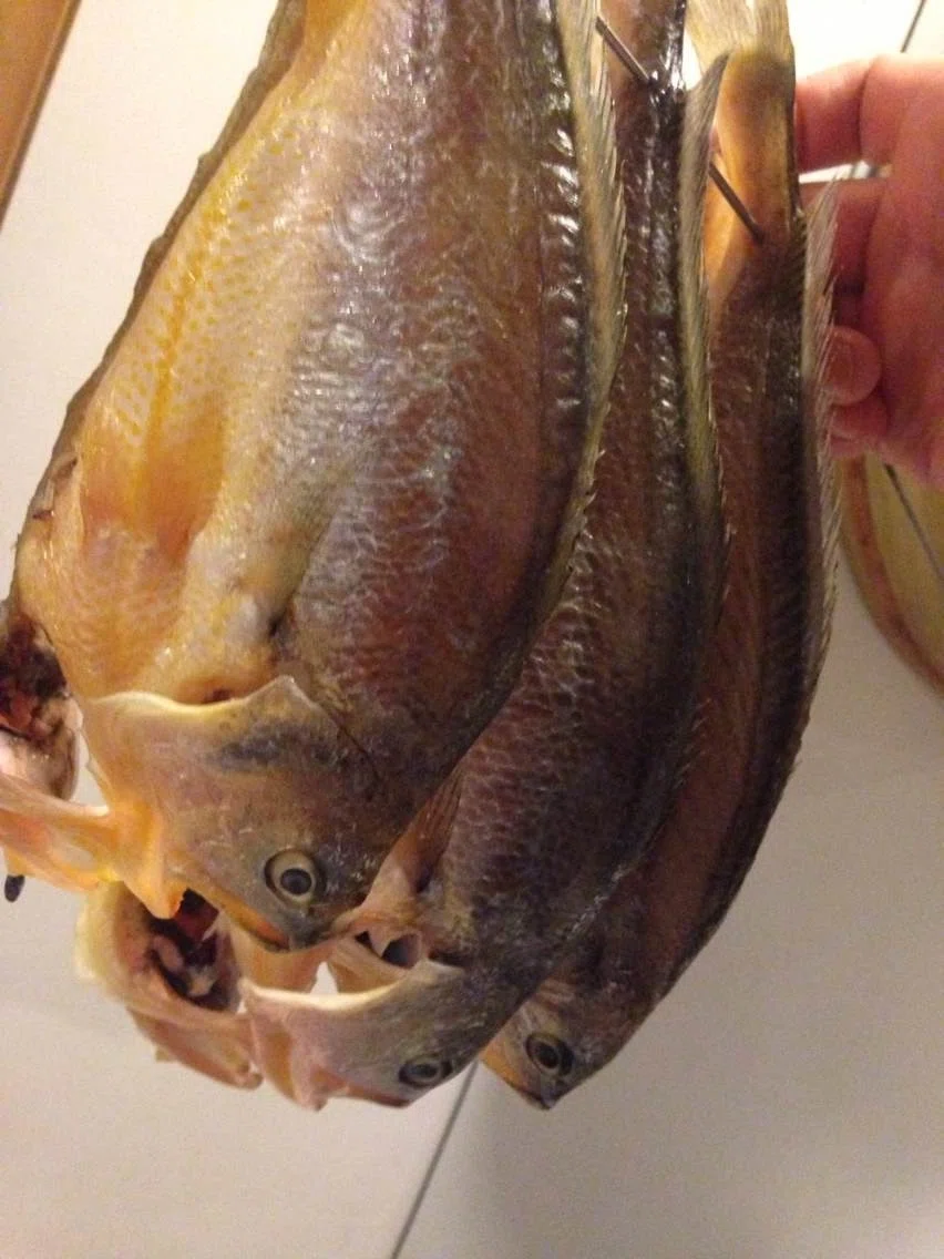 中国で食材と戯る。(4) キグチ|古原貴大