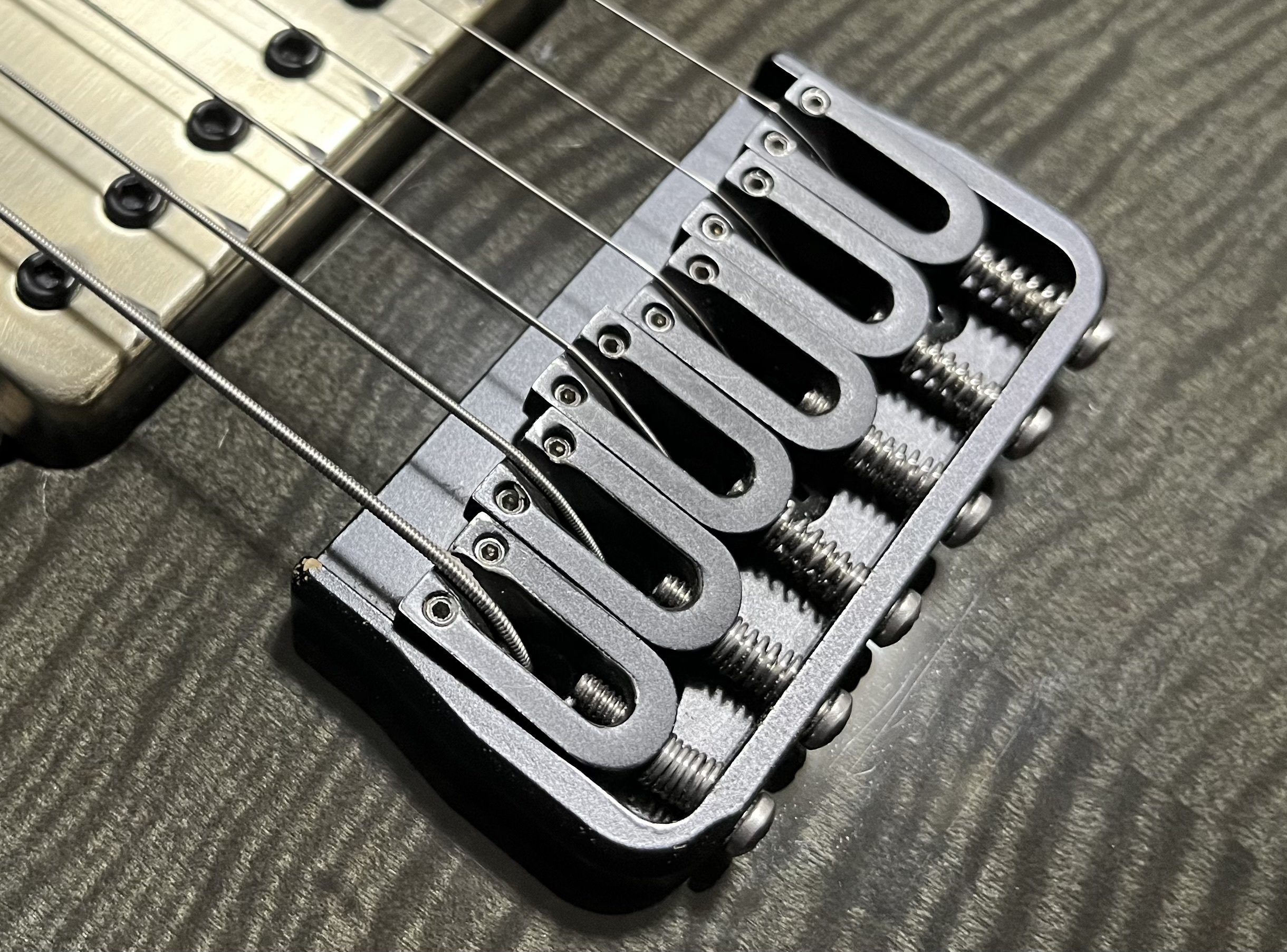 機材紹介(自慢)① Caparison Dellinger II FX-TMM CL-ML50 Timeless