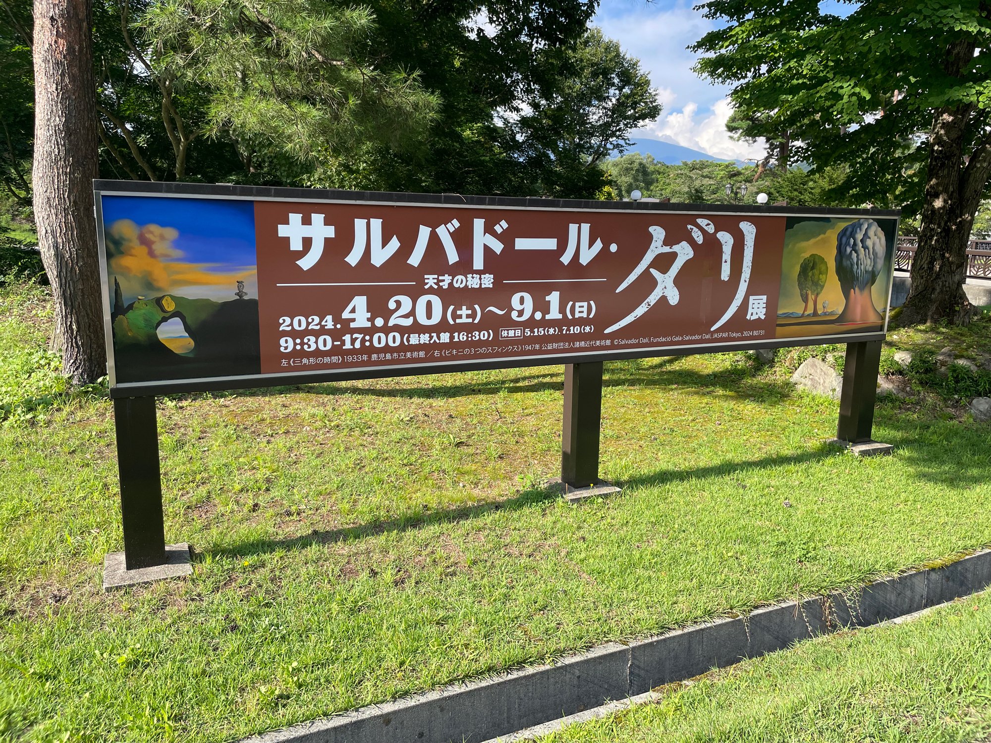 サルバドール ダリ リトグラフ 冬のセントラルパーク 版画