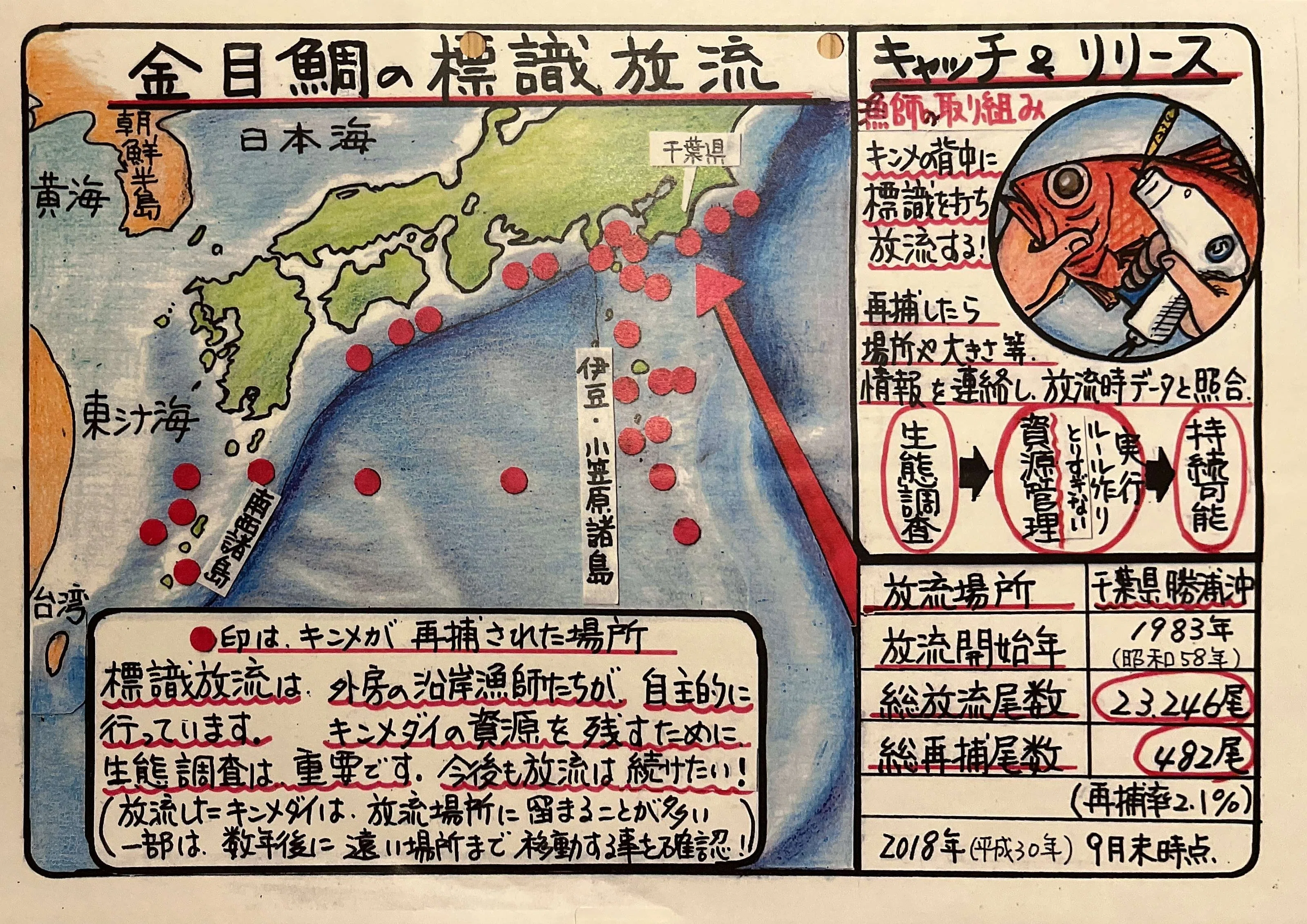 獲らない努力で日本一」 キンメダイを次世代につなぐ外房漁師の