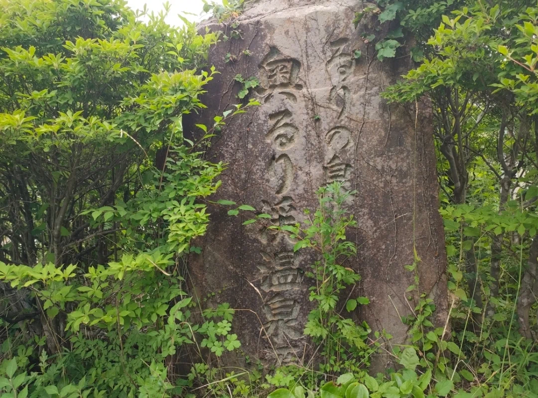 当時のメディア報道・掲載写真