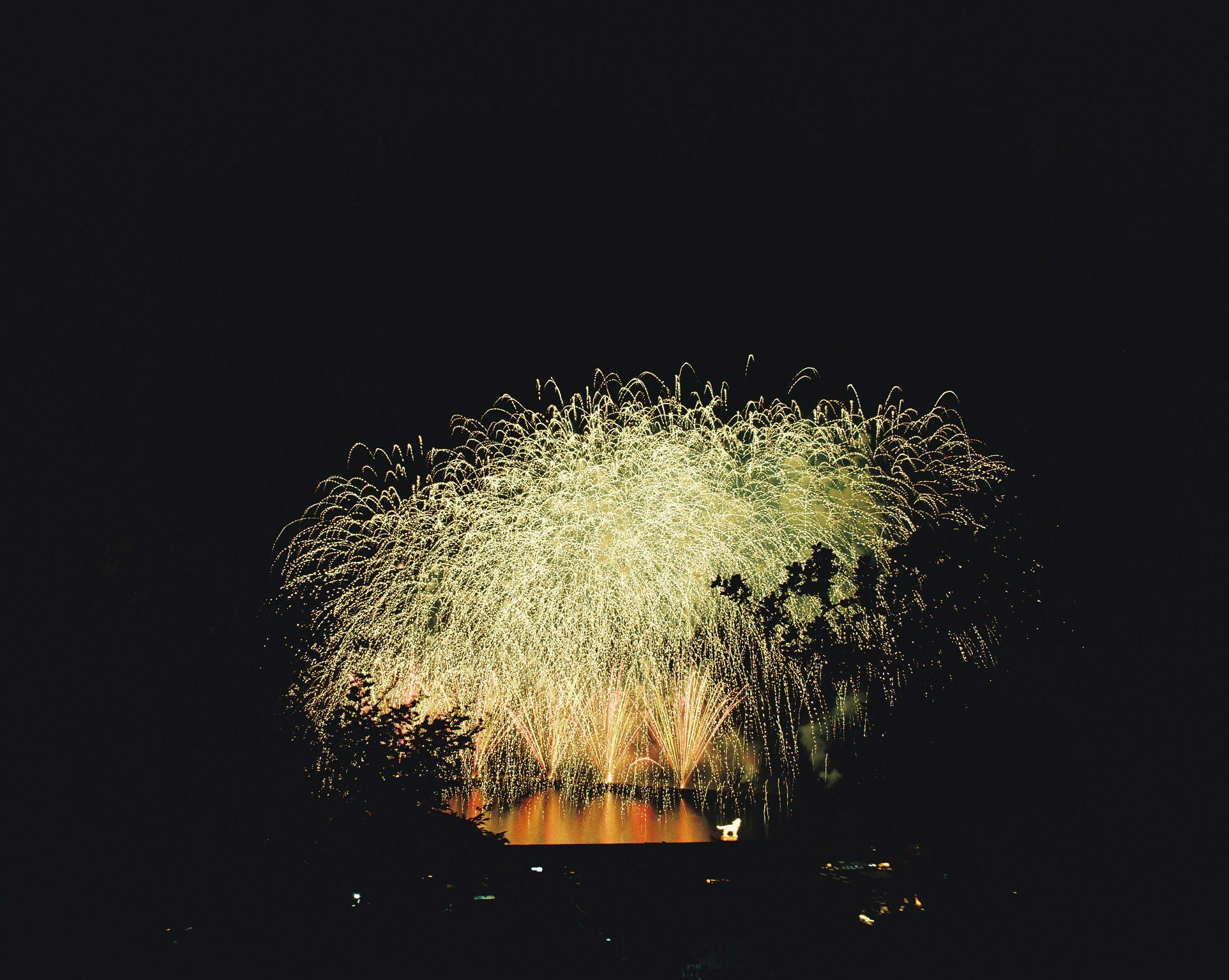 保存版】フィルム写真花火マスターになるために｜Motoki Morishita